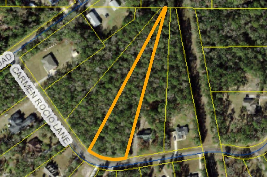 Lot 21 Carmen Rocio Lane, Crawfordville, Florida image 1