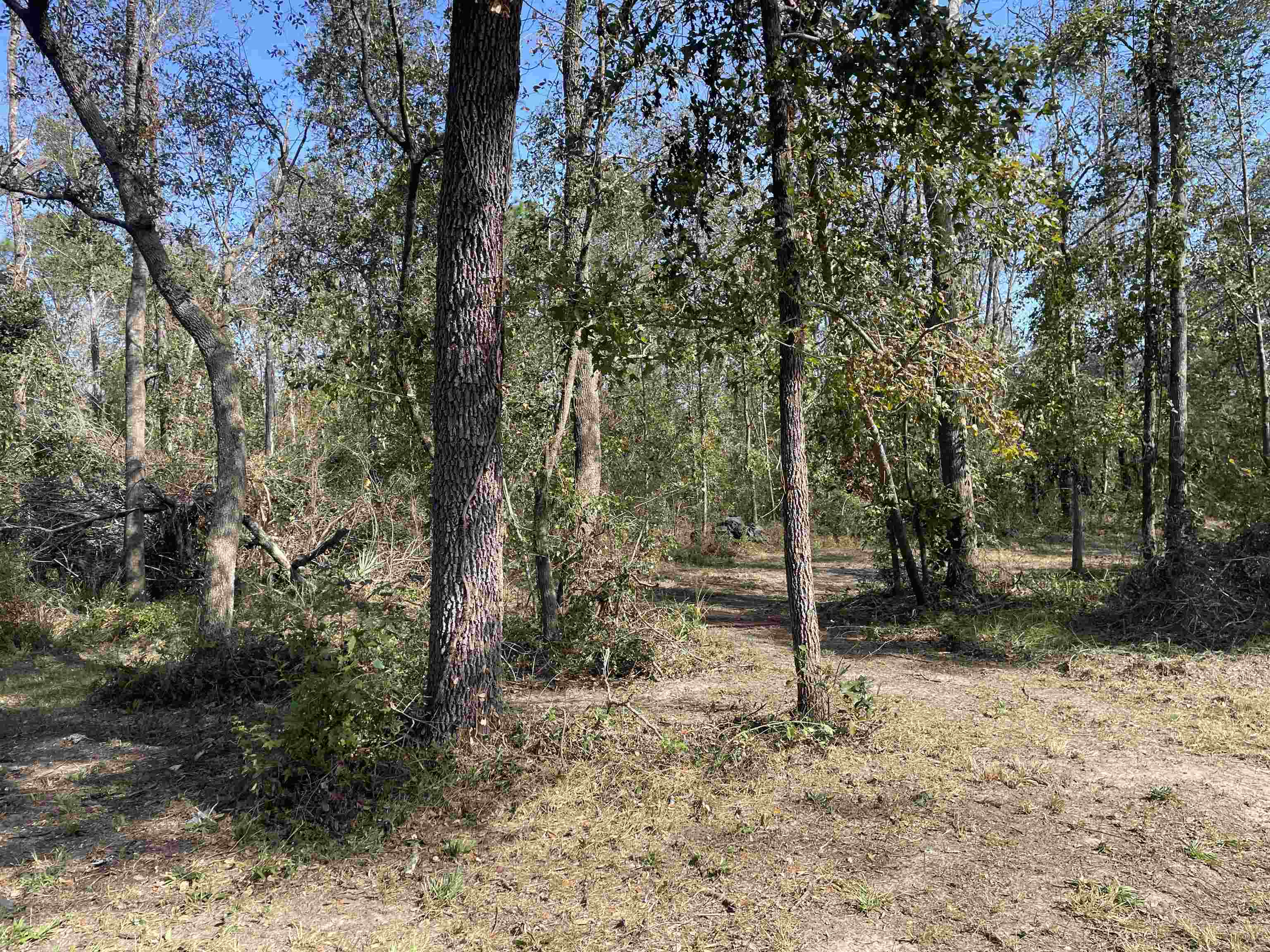 00 NW 21st Place, Jasper, Florida image 11