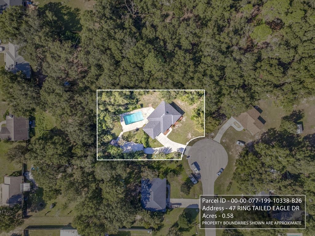 47 Ring Tailed Eagle Drive, Crawfordville, Florida image 9