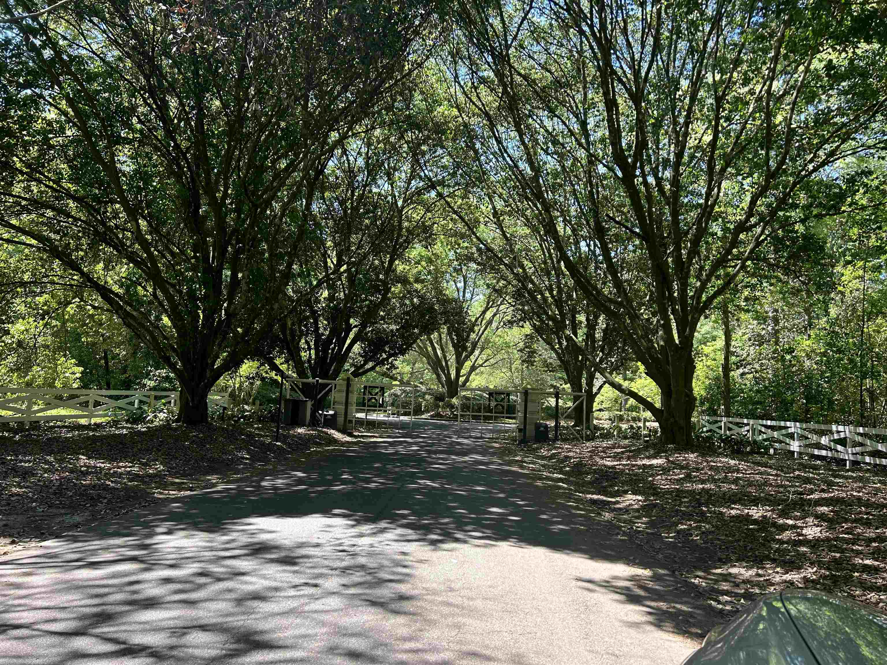 Rosehill Drive, Tallahassee, Florida image 1