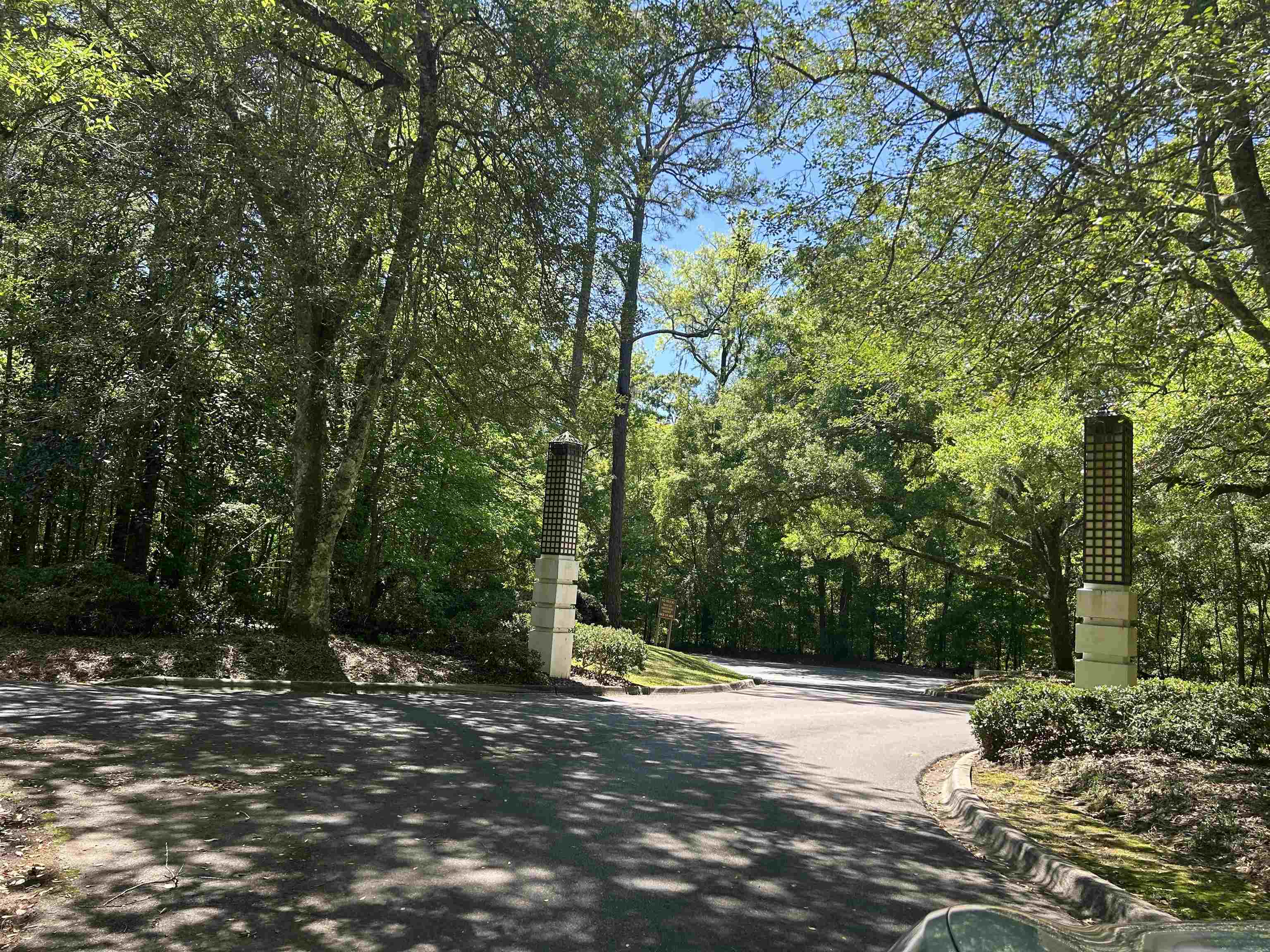 Rosehill Drive, Tallahassee, Florida image 3