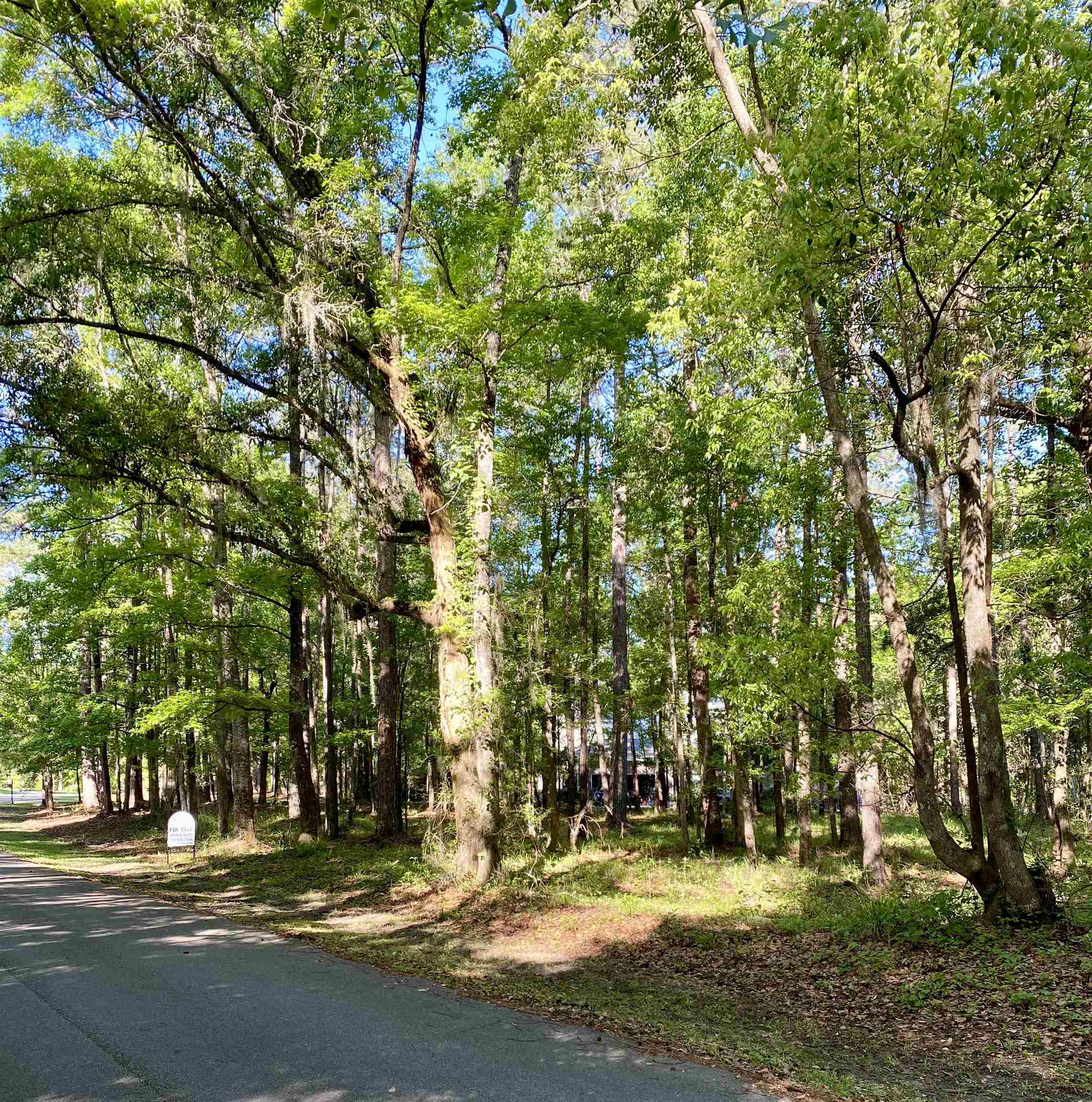 Rosehill Drive, Tallahassee, Florida image 5