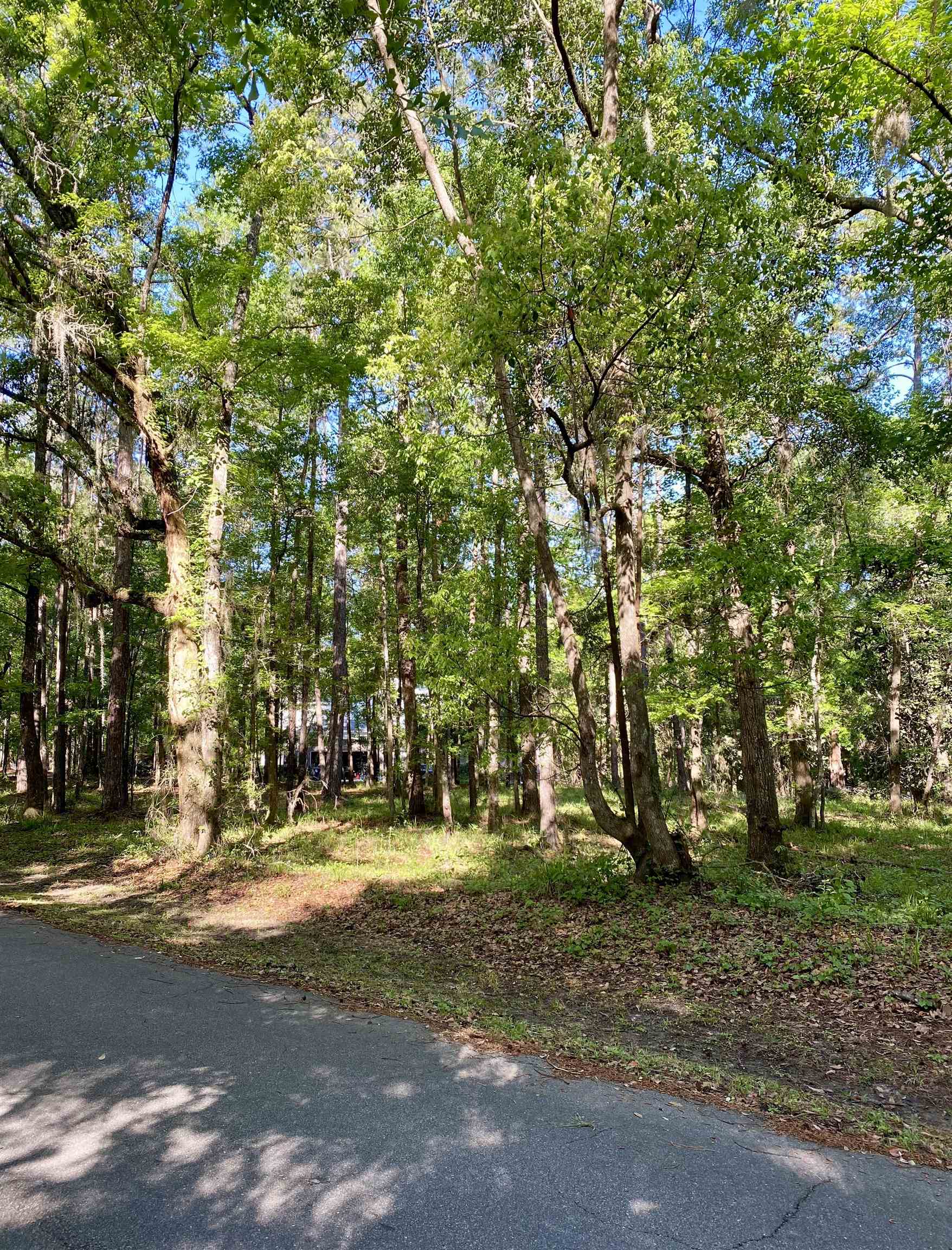 Rosehill Drive, Tallahassee, Florida image 6