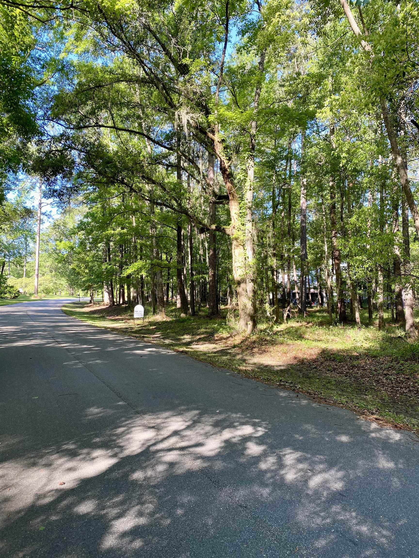 Rosehill Drive, Tallahassee, Florida image 7