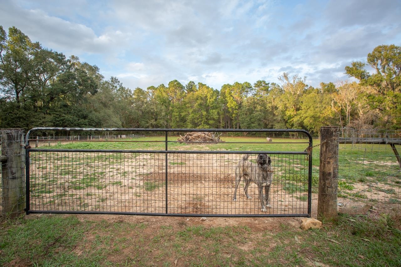 16824 Mahan Drive, Tallahassee, Florida image 42