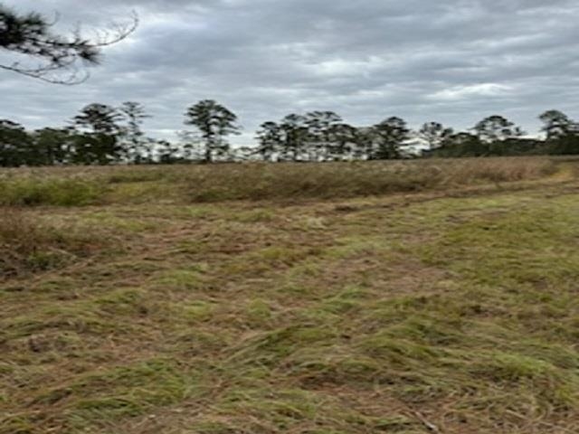 Cocroft Rd. Boulevard, Monticello, Florida image 4