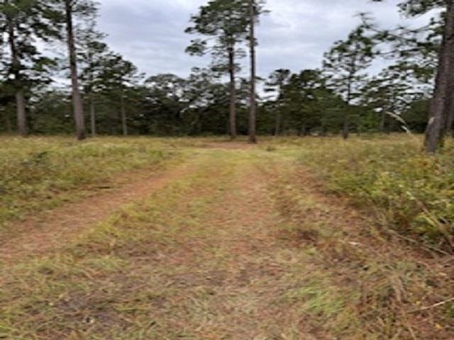 Cocroft Rd. Boulevard, Monticello, Florida image 6