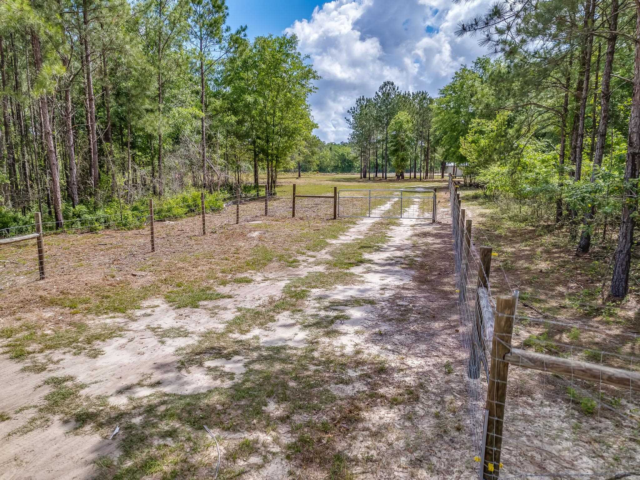 XX Juniper Creek Road, Quincy, Florida image 11