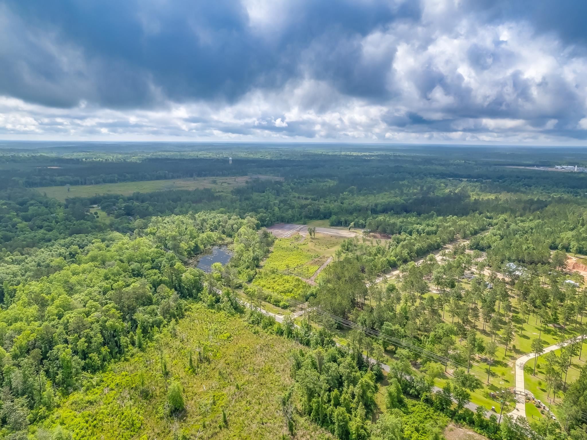 XX Juniper Creek Road, Quincy, Florida image 4