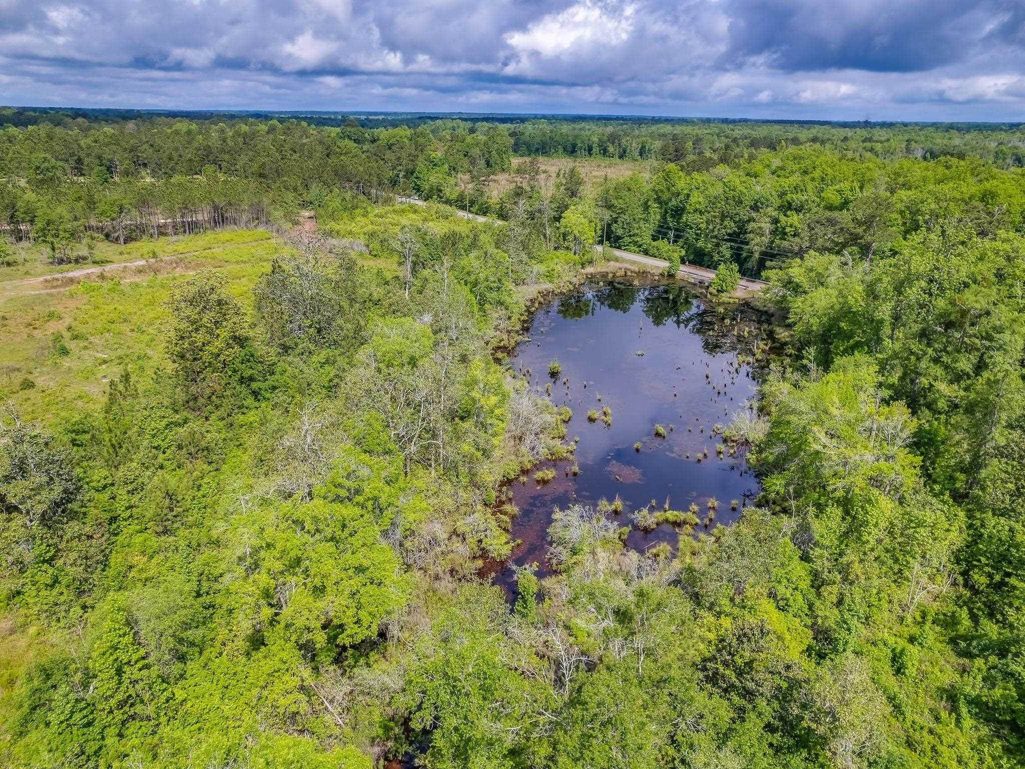 XX Juniper Creek Road, Quincy, Florida image 9