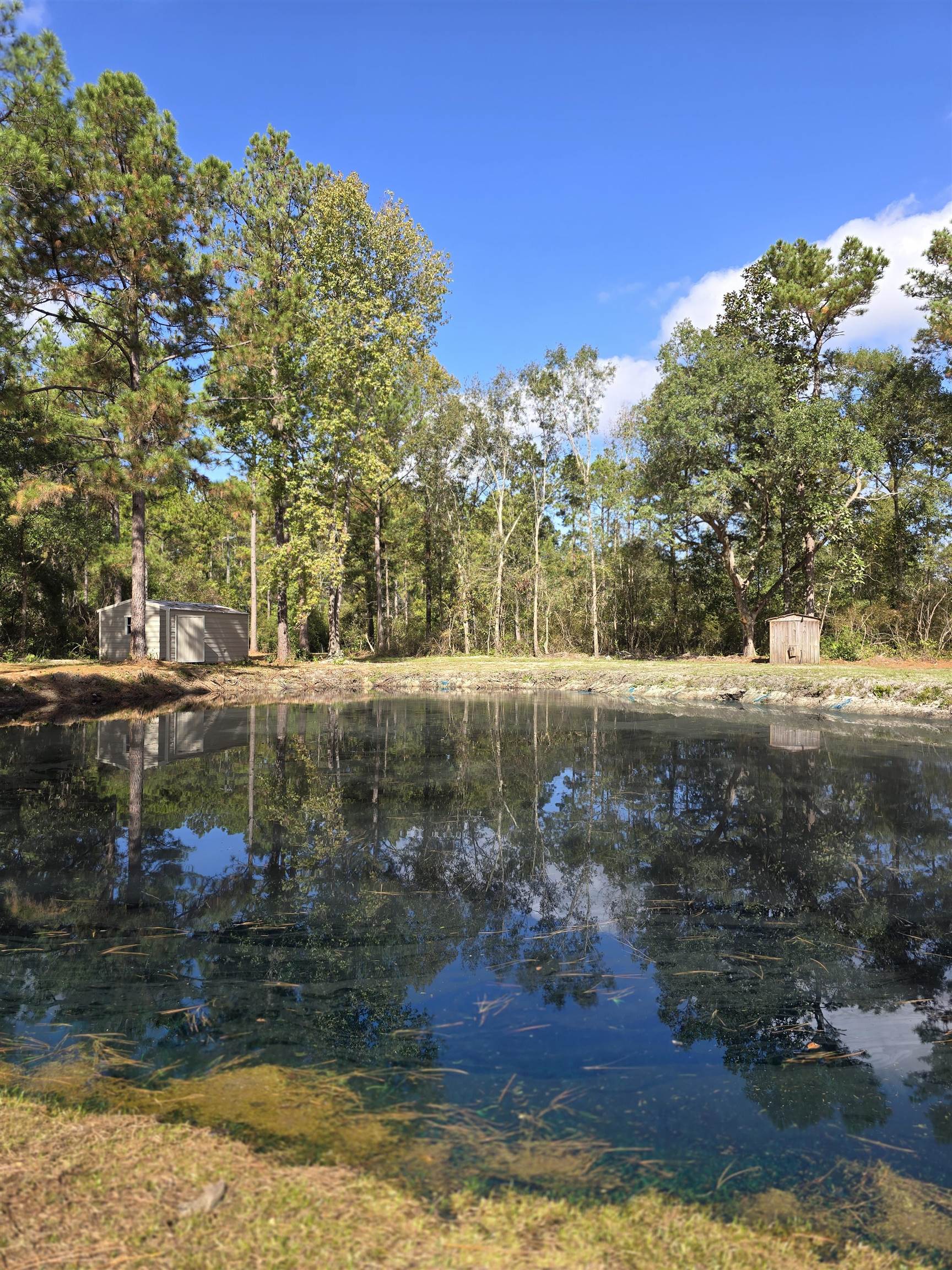 19339 Cotton Patch, Tallahassee, Florida image 8