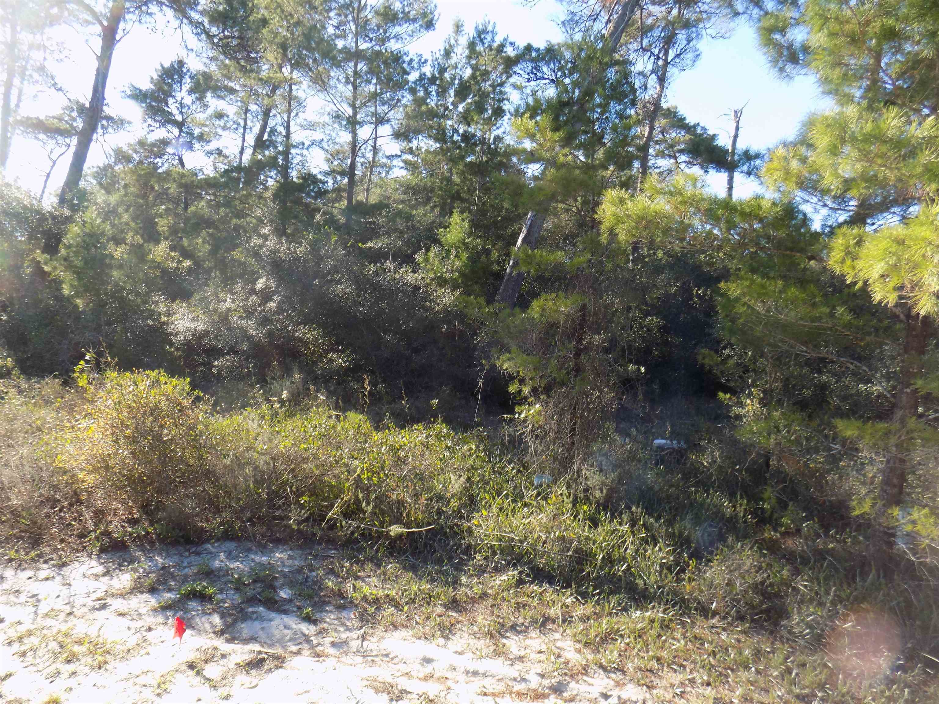 1698 Landing Street, Carrabelle, Florida image 1