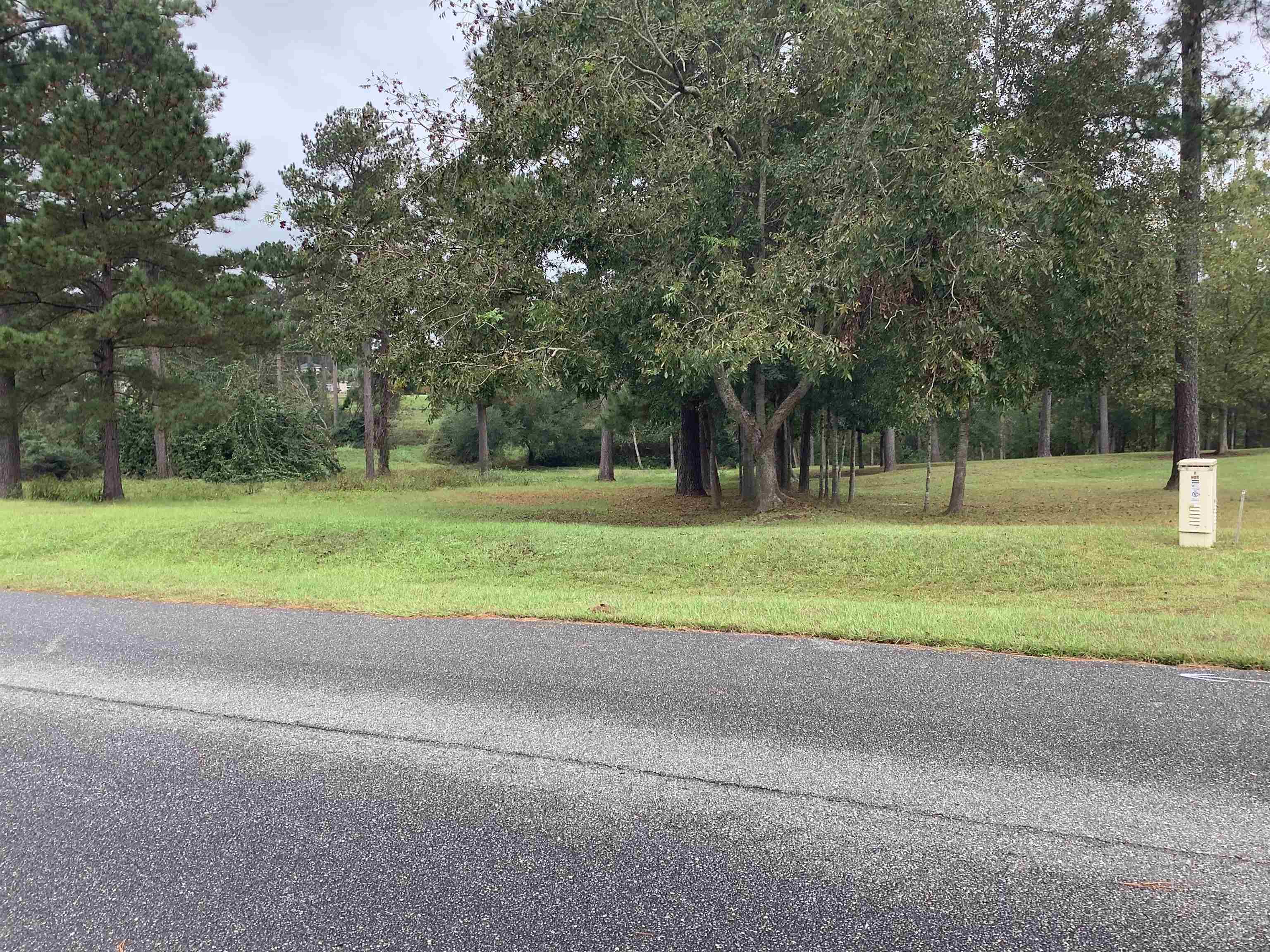 Lot 28 Twin Ponds Drive, Havana, Florida image 2