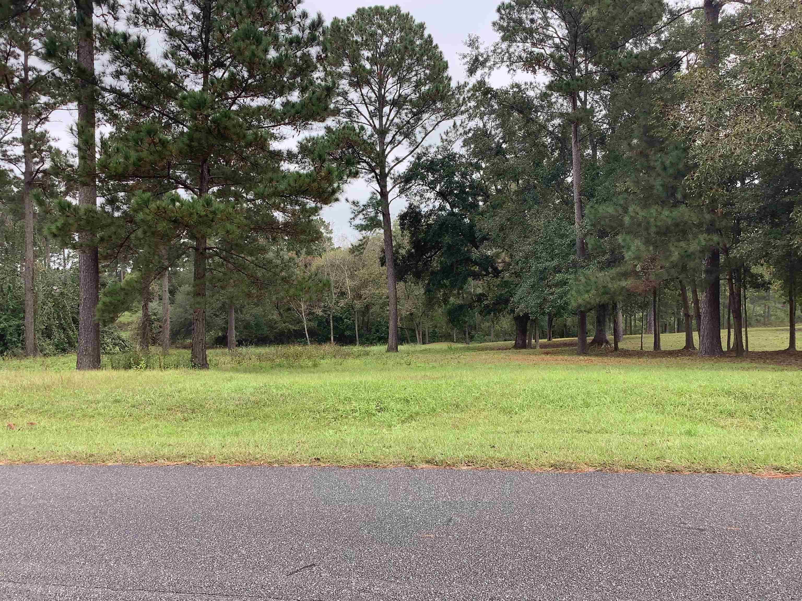 Lot 28 Twin Ponds Drive, Havana, Florida image 3