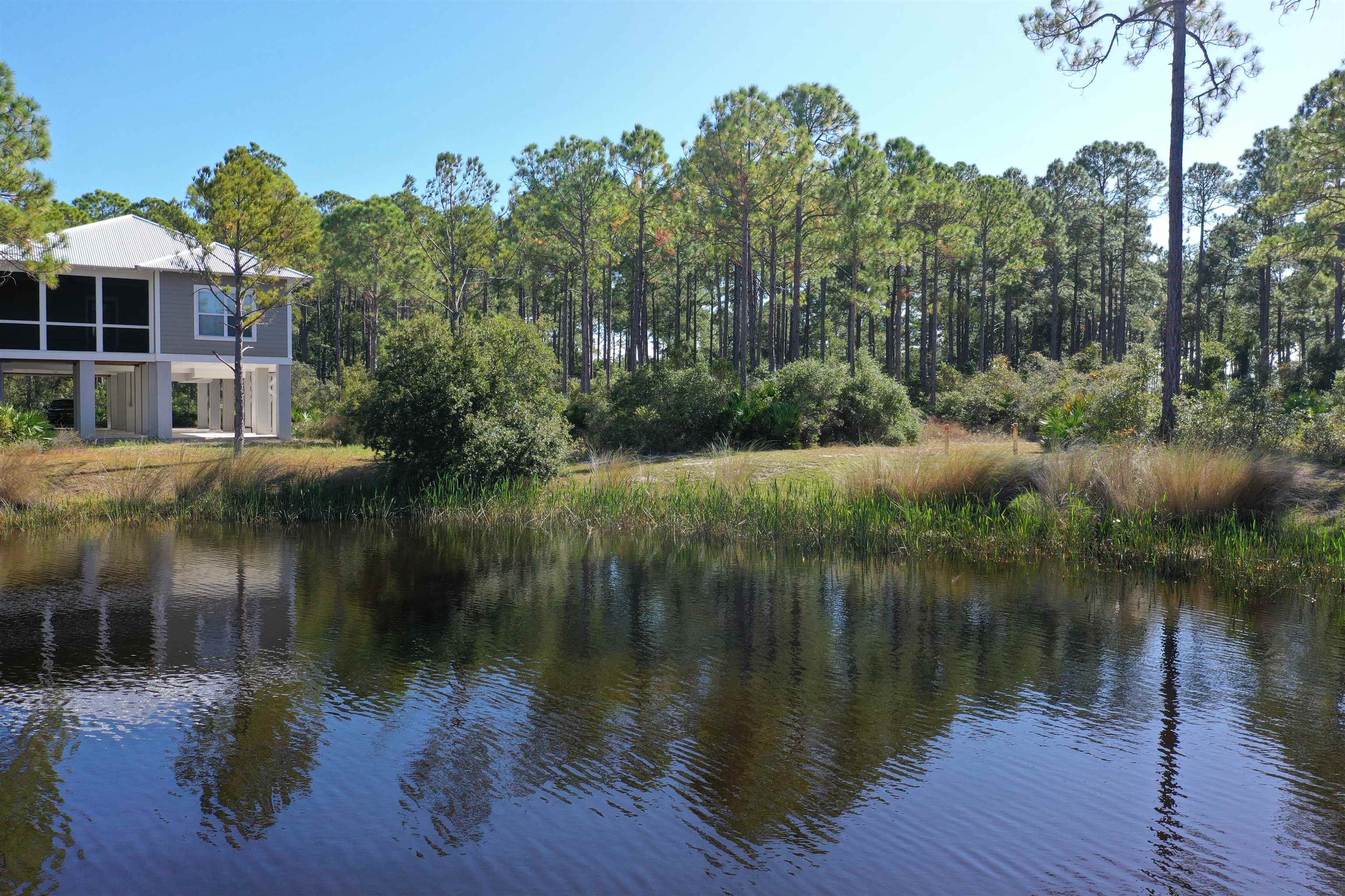 147 Lightning Bug Lane, St Teresa, Florida image 33