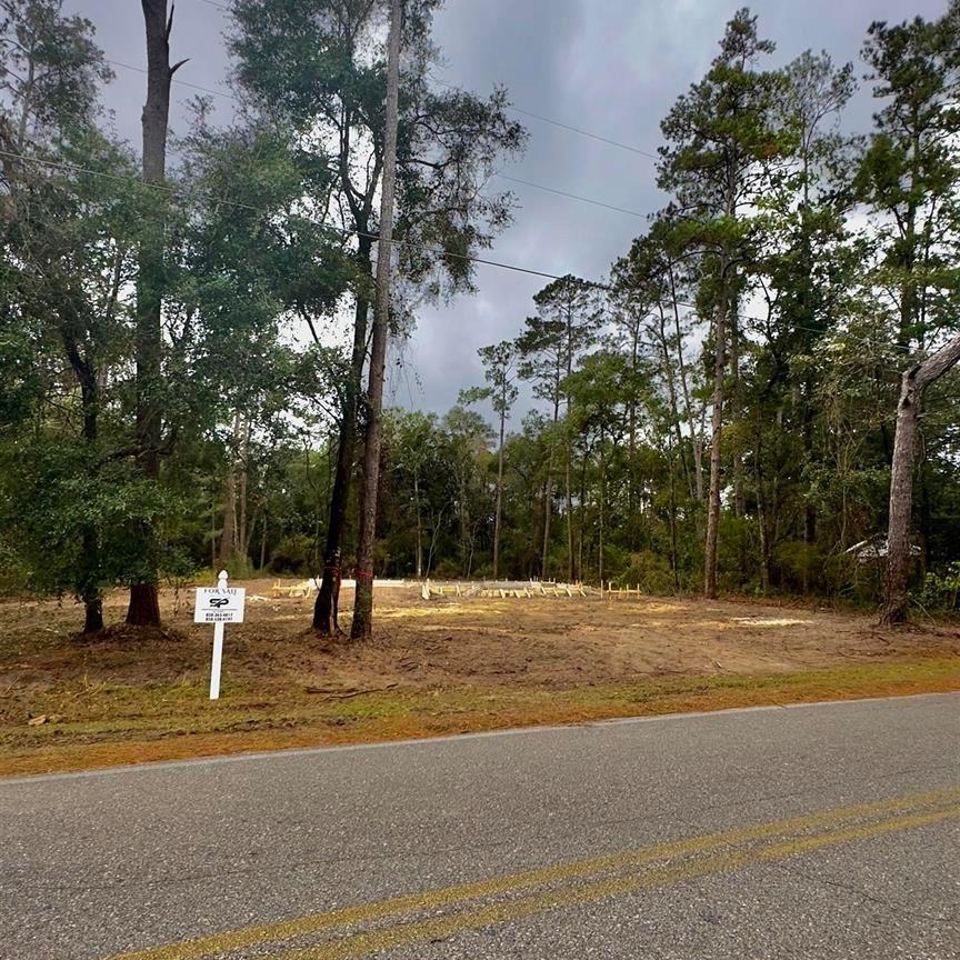 Lot 4 Oak Street, Crawfordville, Florida image 2