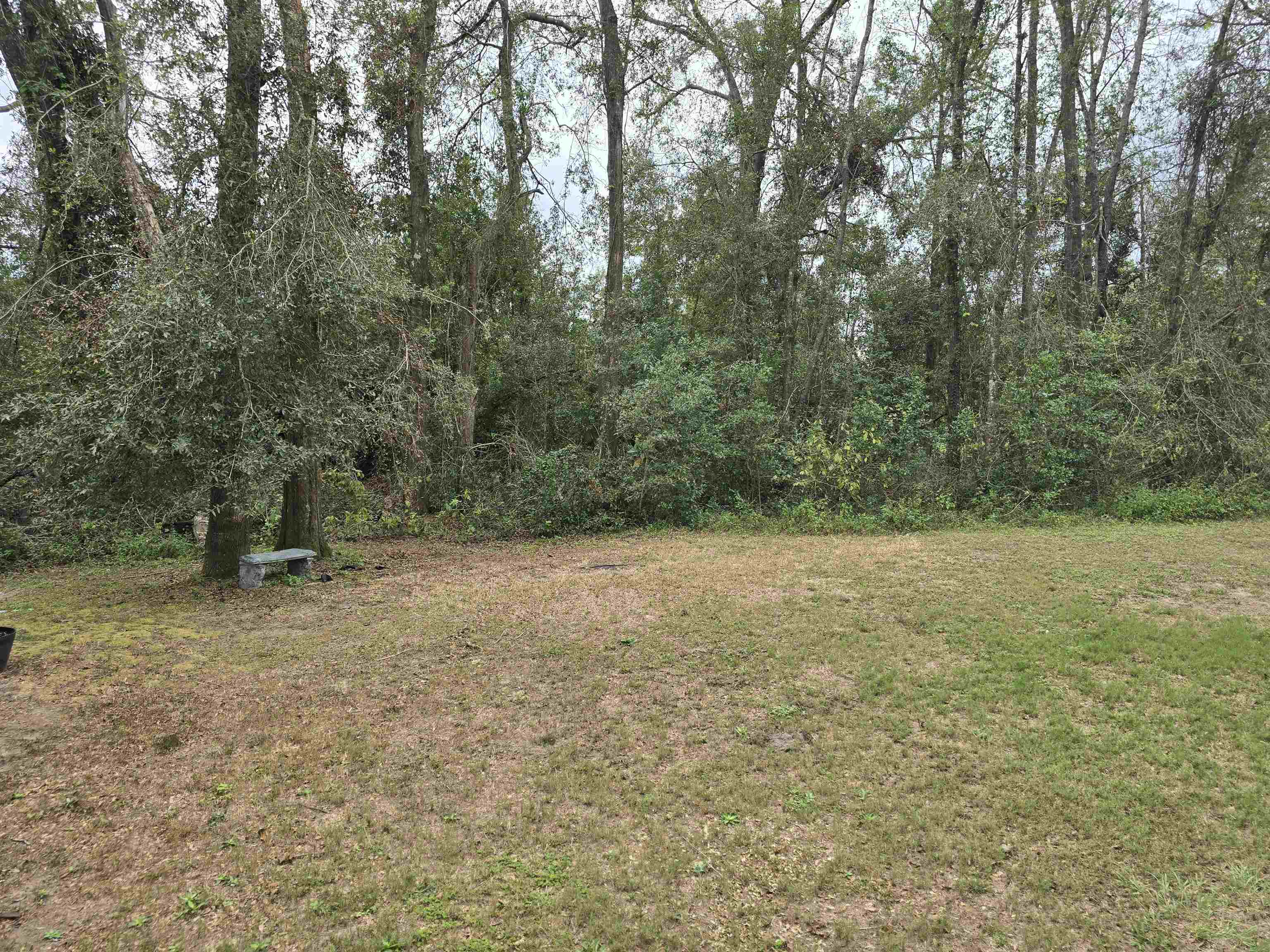 319 Millinor Rd, Perry, Florida image 22