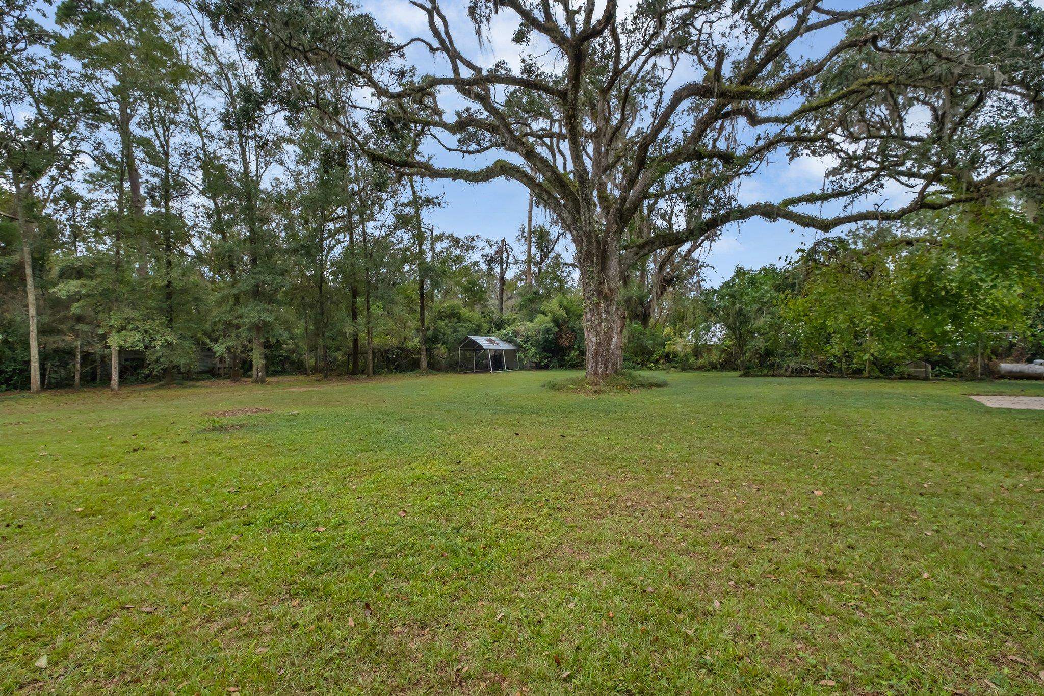 1540 Live Oak  Dr., Tallahassee, Florida image 28