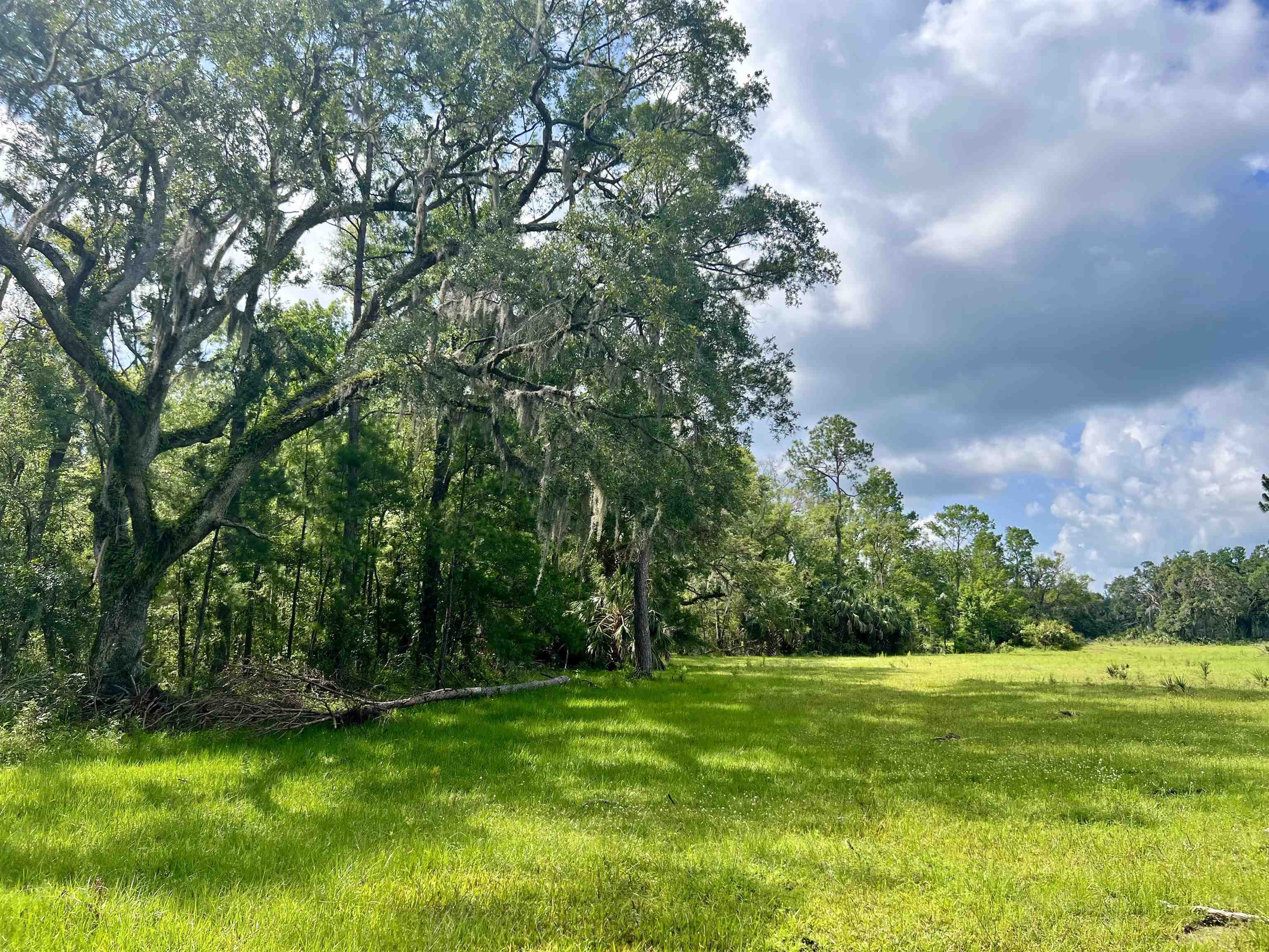 Vacant Woods Creek Road., Perry, Florida image 1