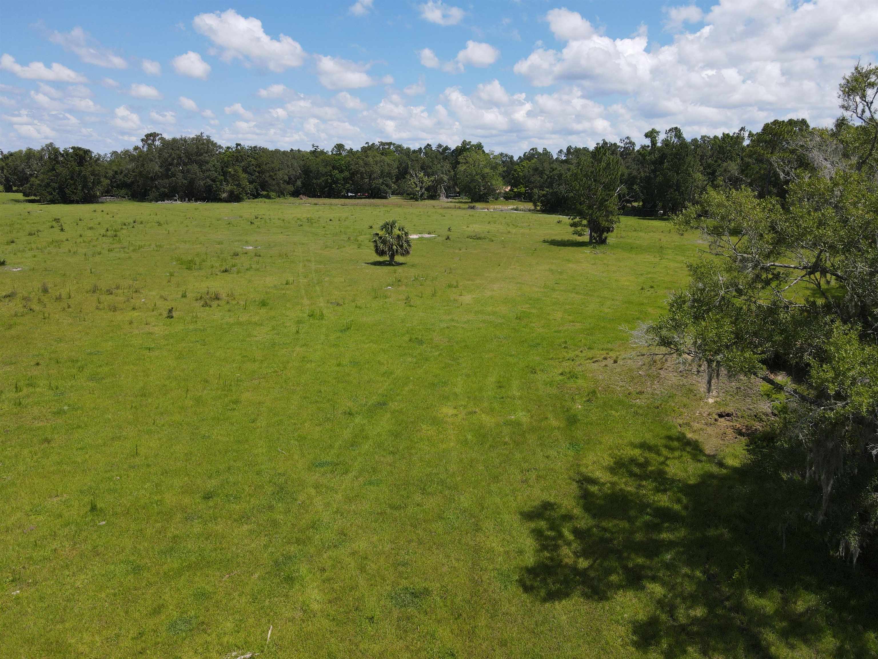 Vacant Woods Creek Road., Perry, Florida image 13