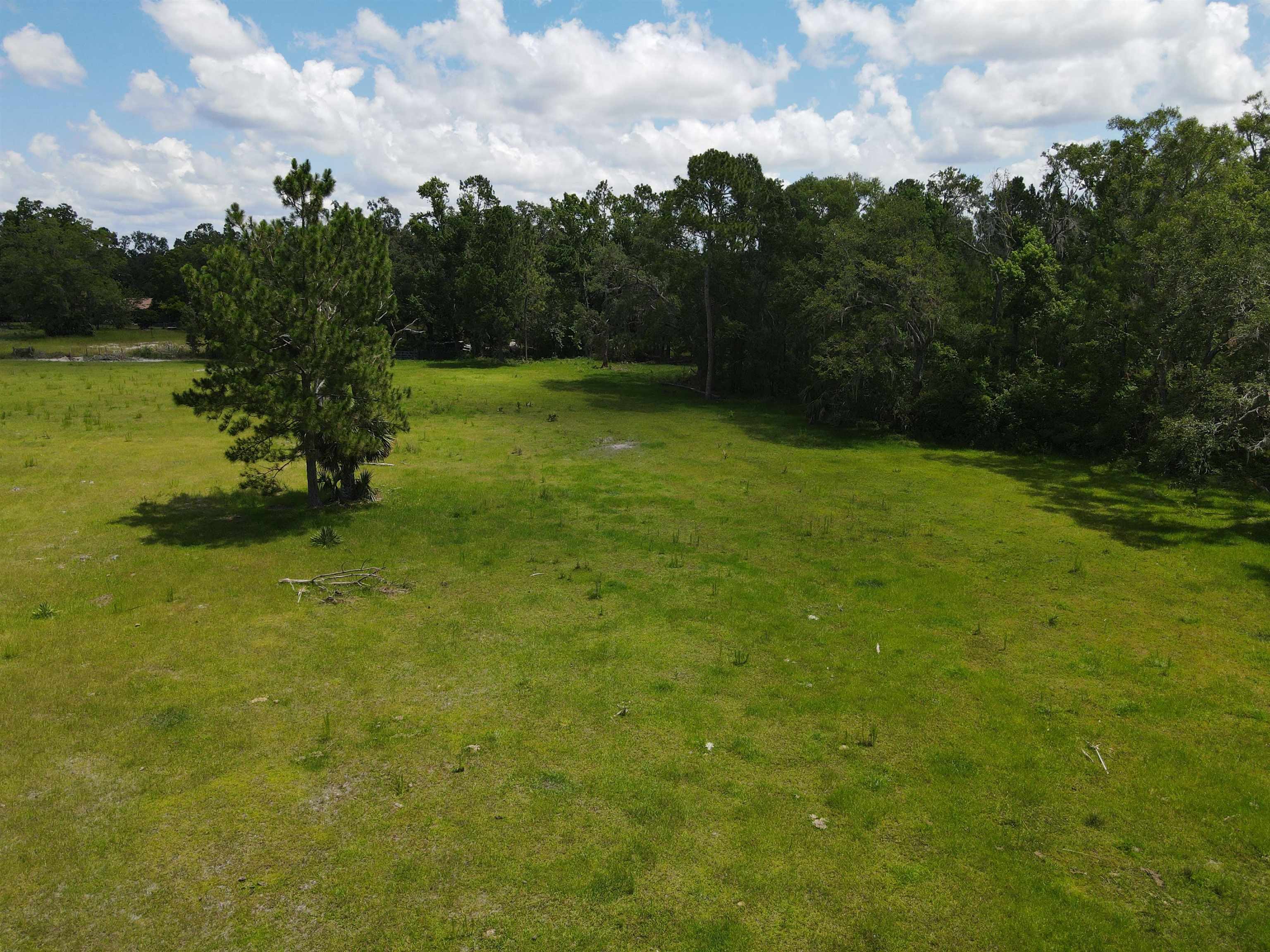 Vacant Woods Creek Road., Perry, Florida image 14