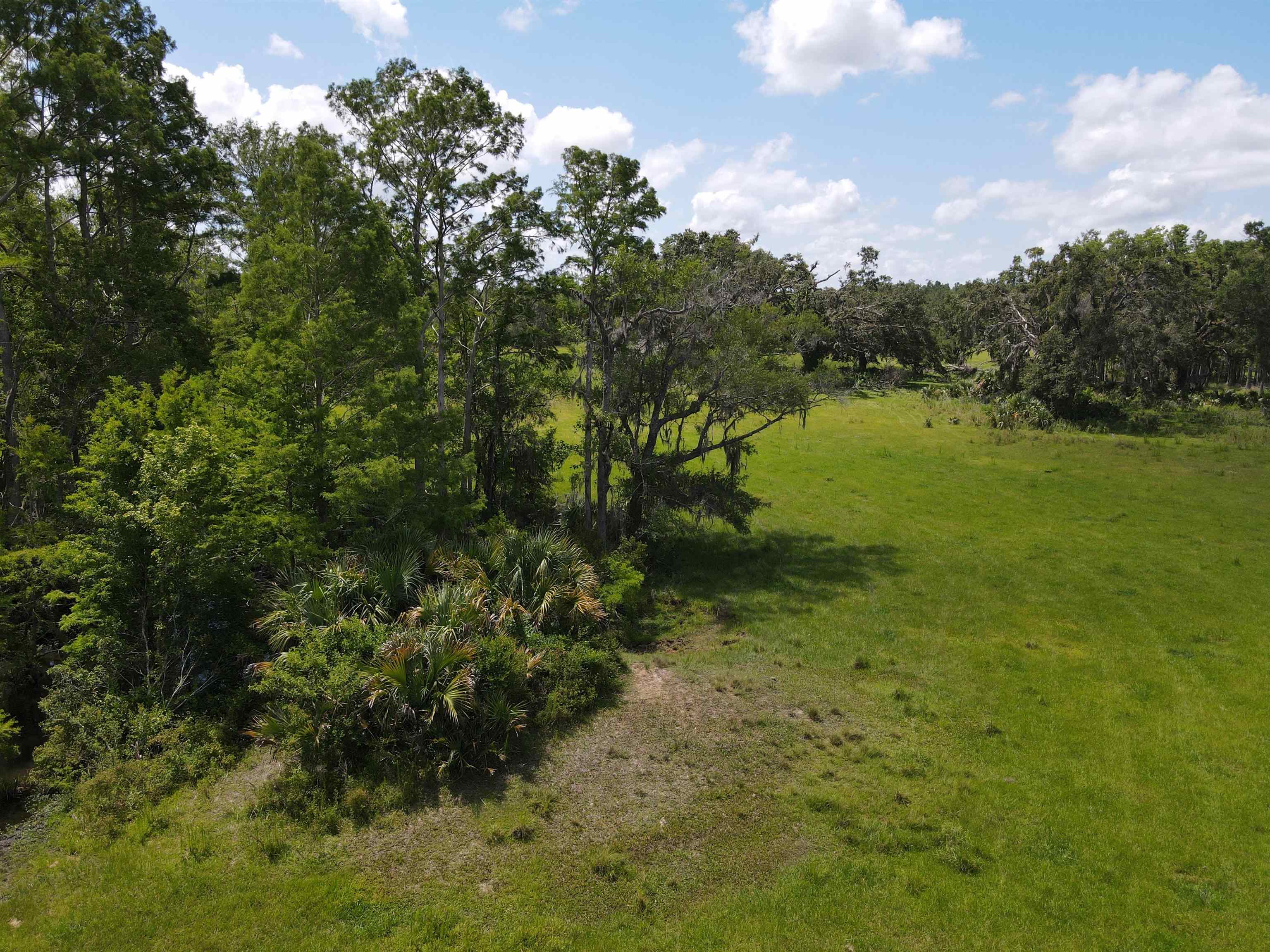 Vacant Woods Creek Road., Perry, Florida image 15