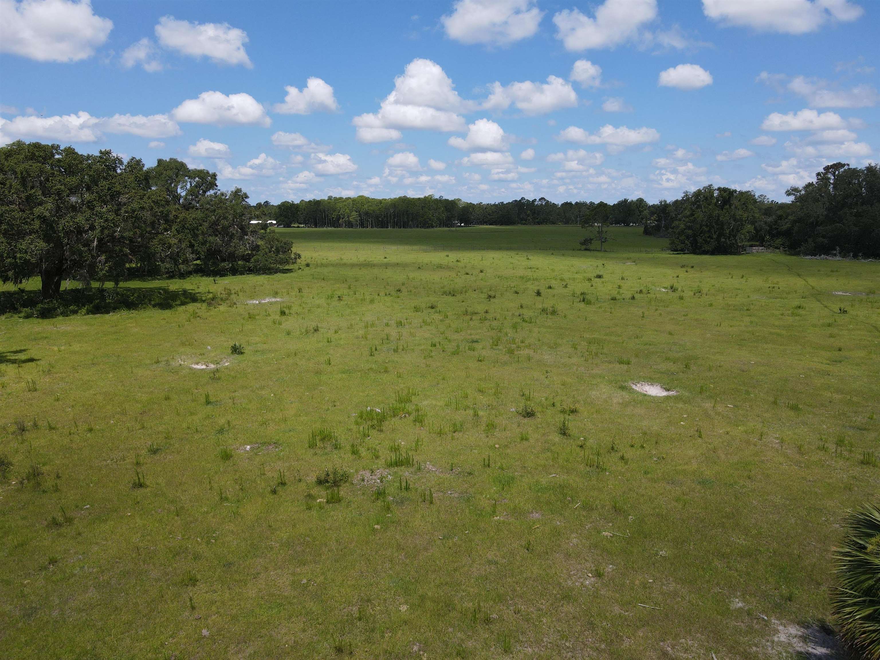 Vacant Woods Creek Road., Perry, Florida image 16