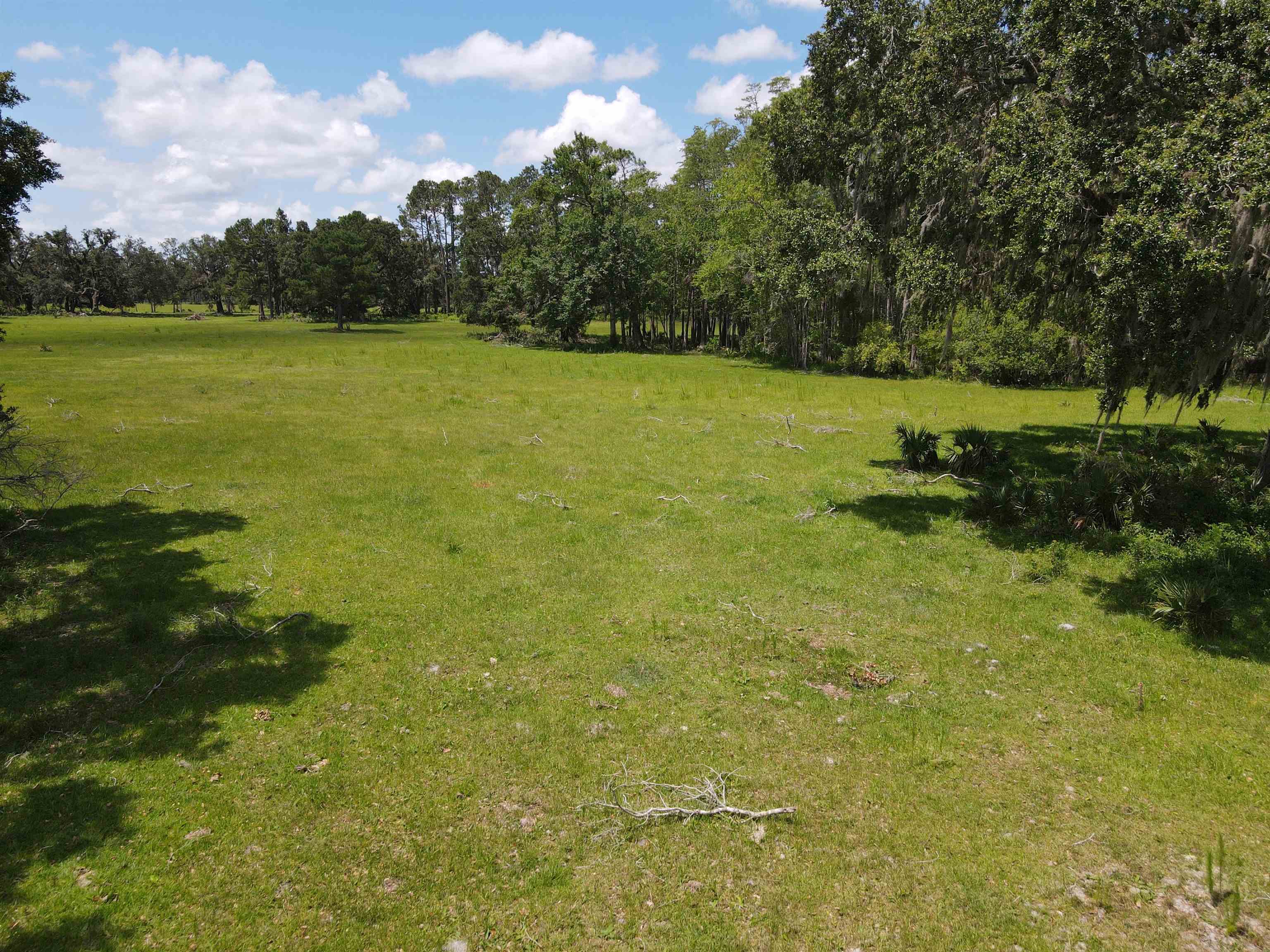 Vacant Woods Creek Road., Perry, Florida image 17