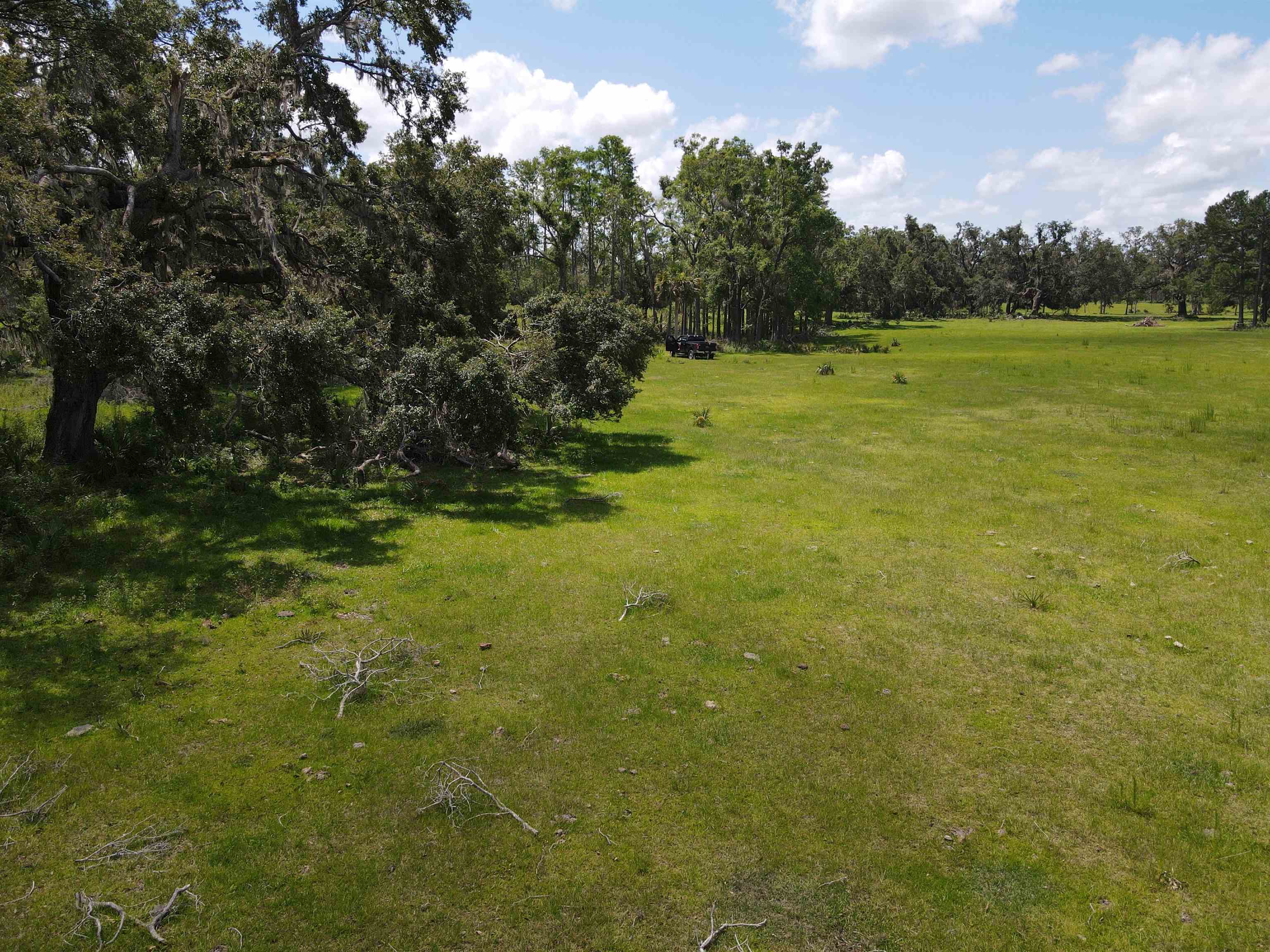 Vacant Woods Creek Road., Perry, Florida image 18