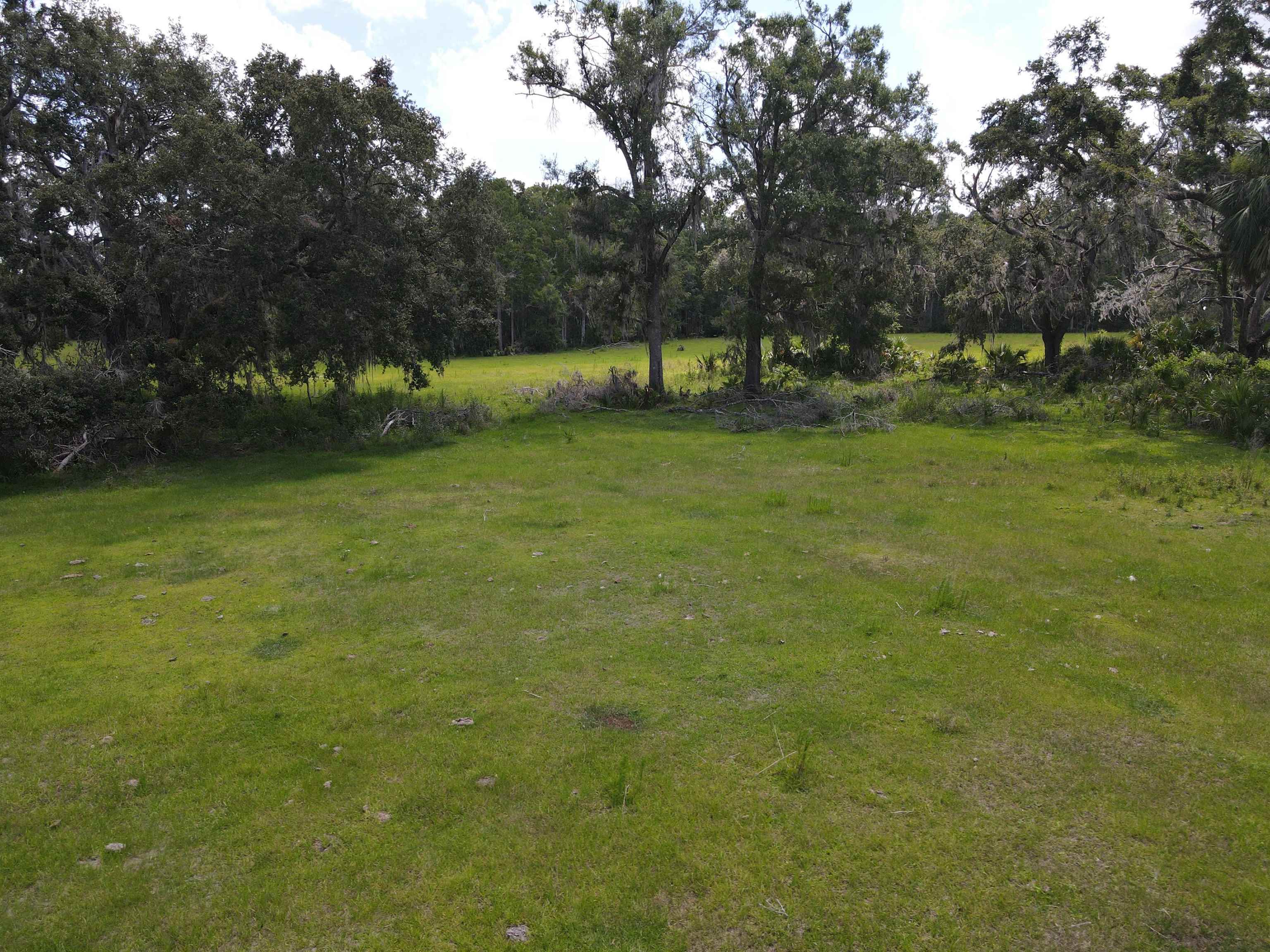 Vacant Woods Creek Road., Perry, Florida image 19