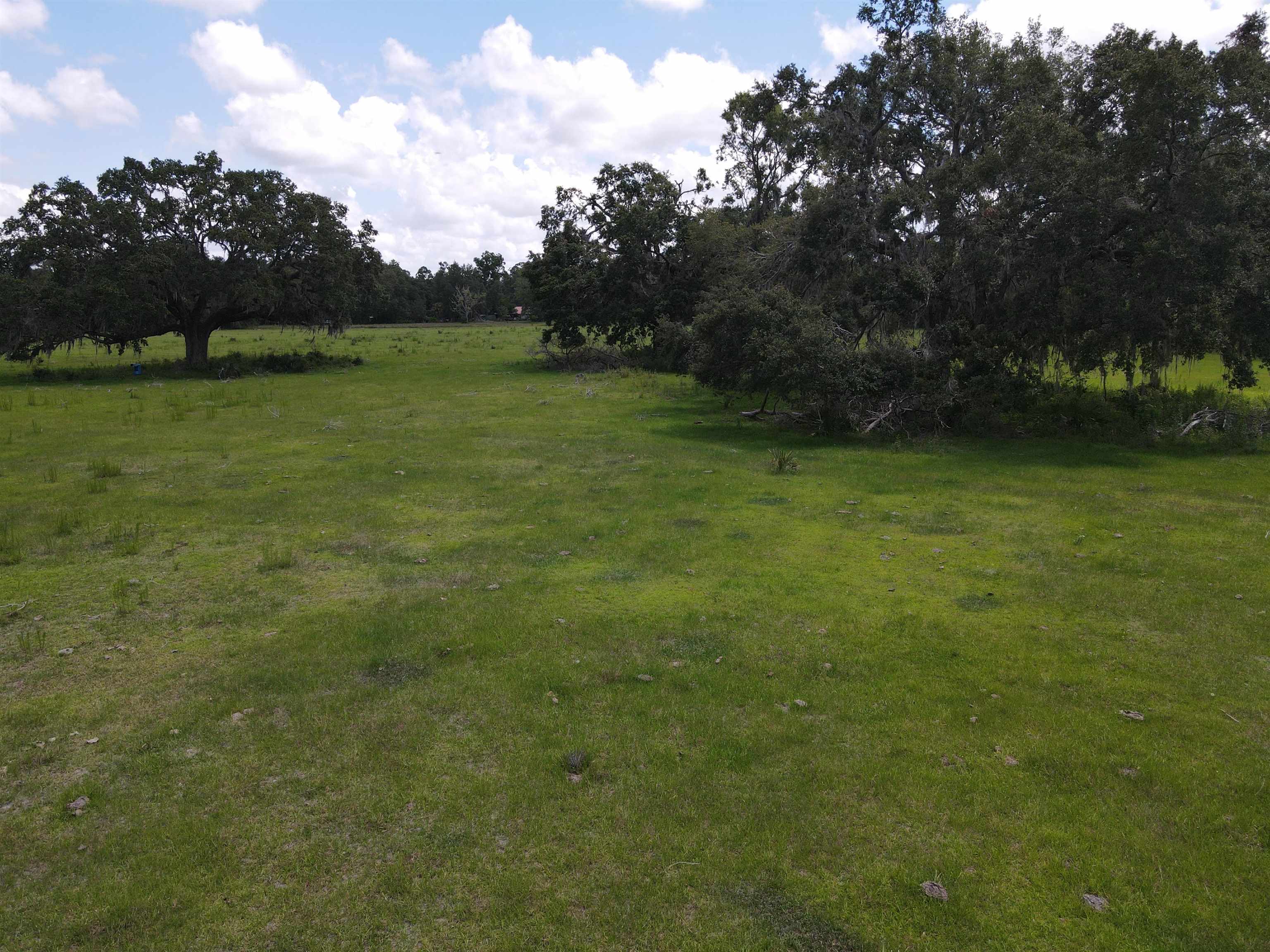 Vacant Woods Creek Road., Perry, Florida image 20