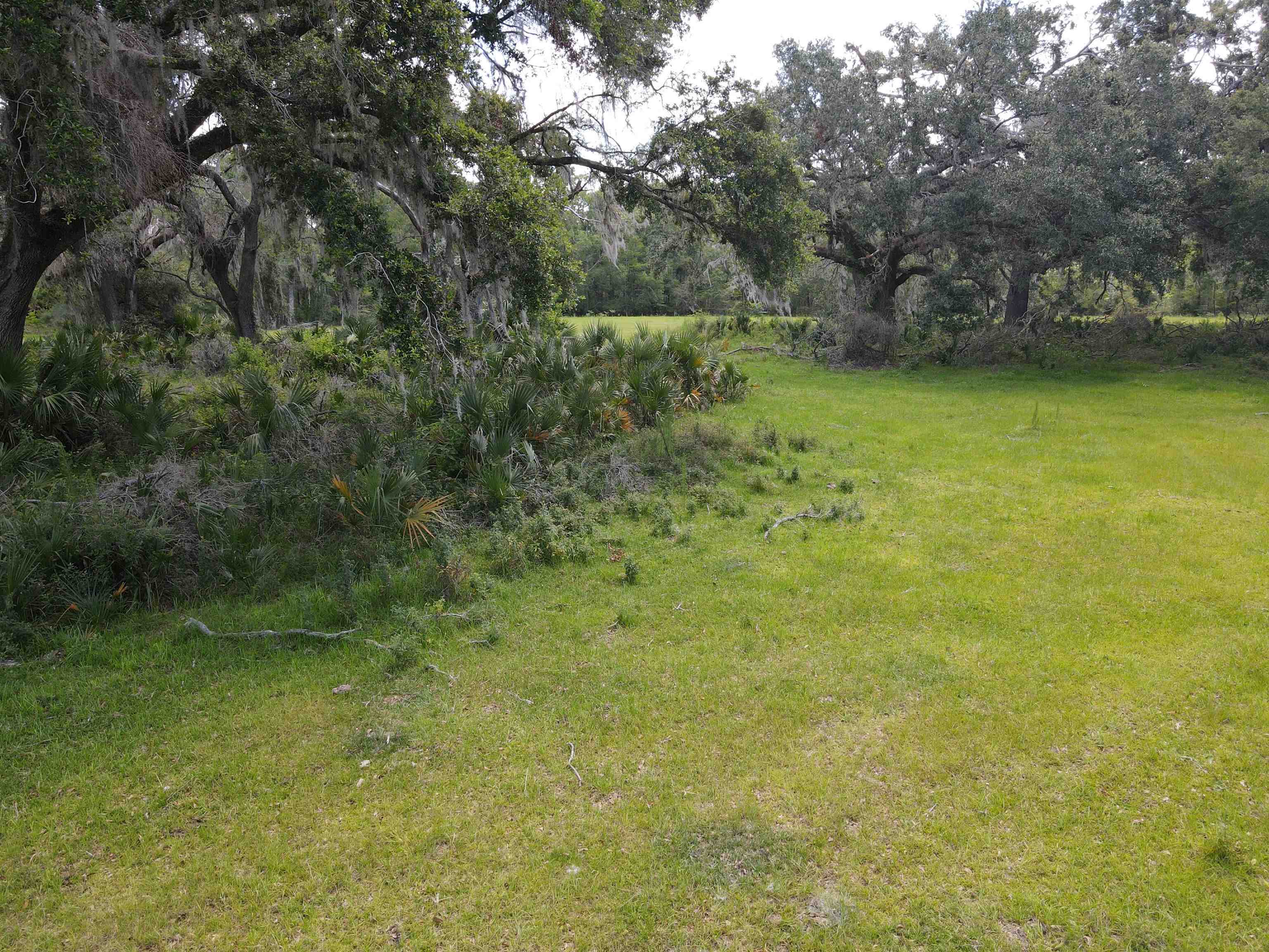 Vacant Woods Creek Road., Perry, Florida image 22