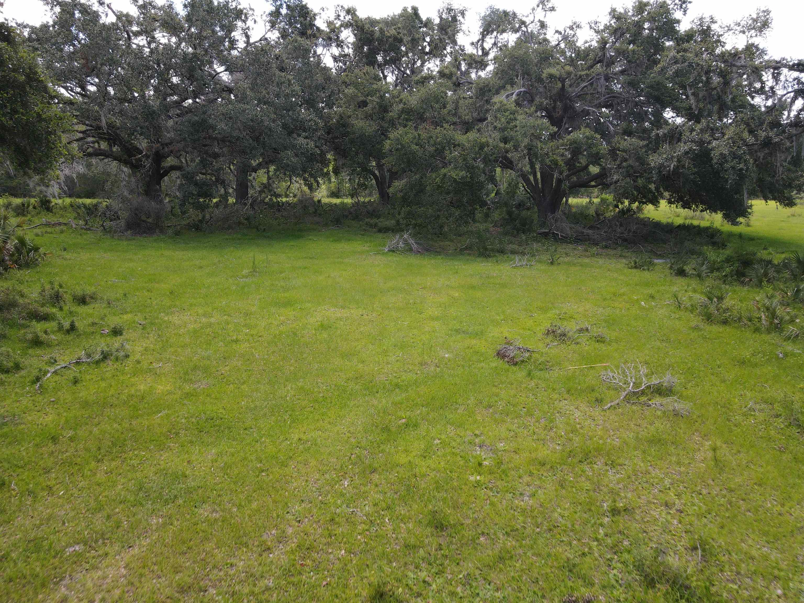 Vacant Woods Creek Road., Perry, Florida image 23