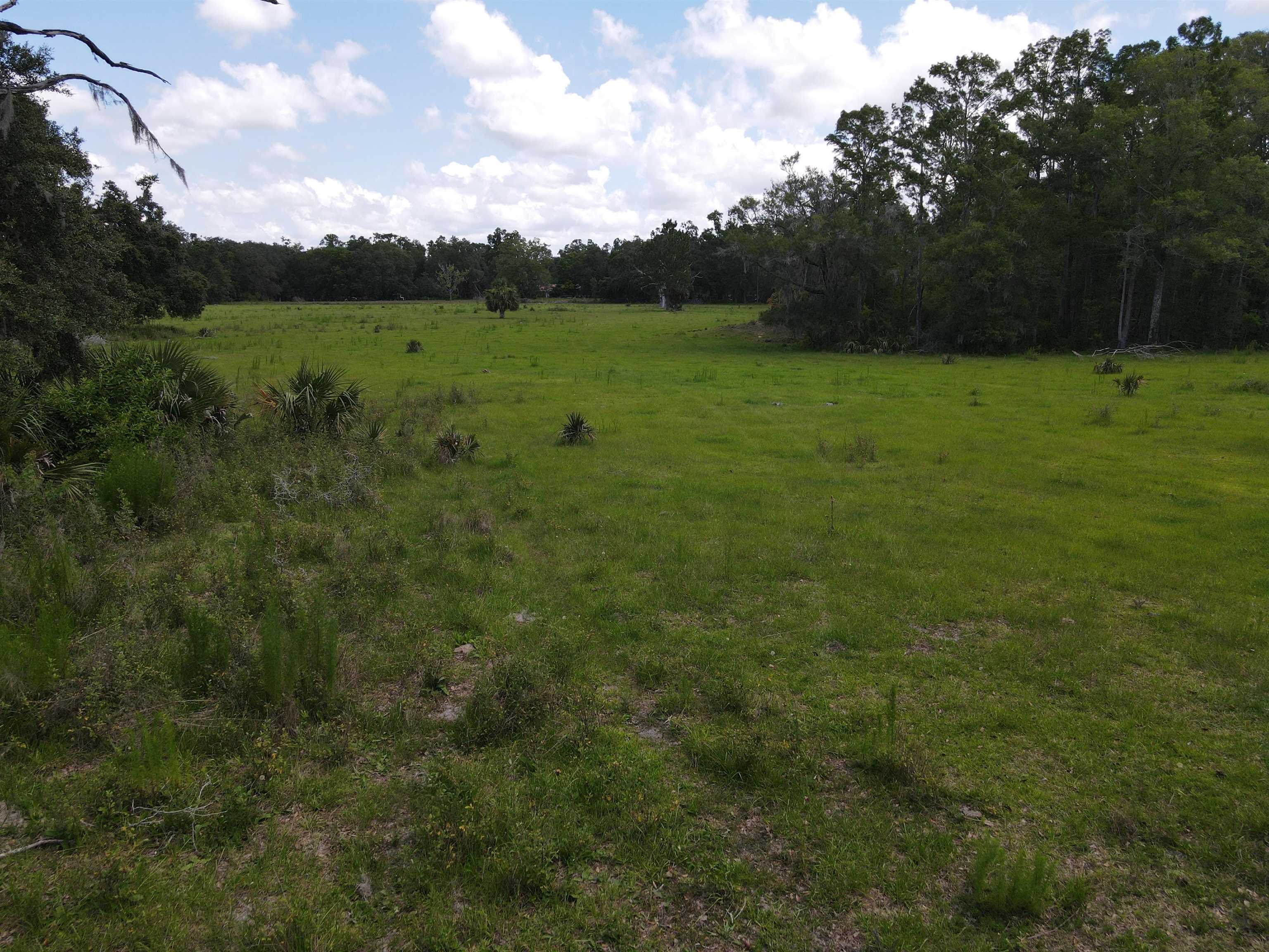 Vacant Woods Creek Road., Perry, Florida image 25