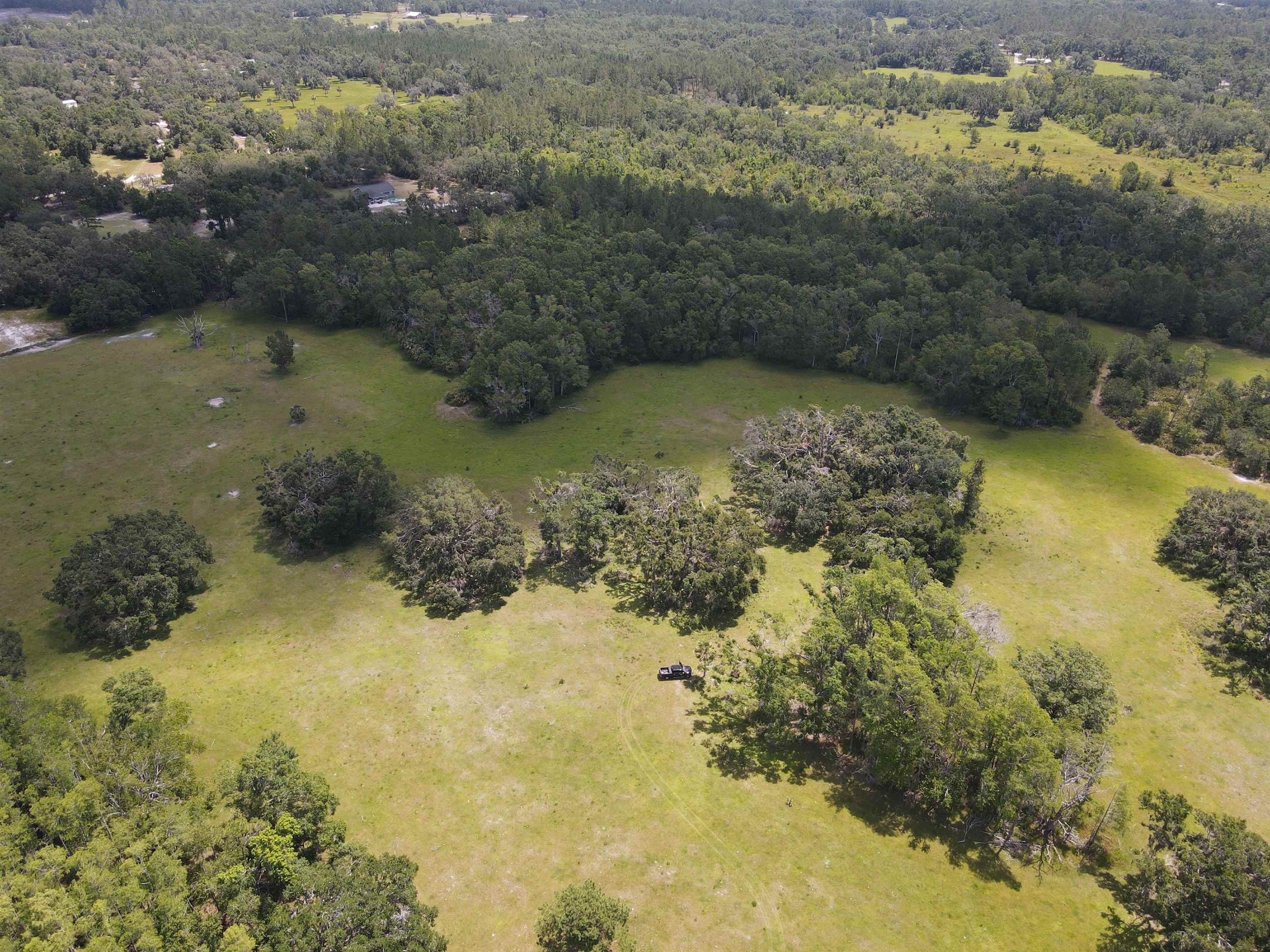 Vacant Woods Creek Road., Perry, Florida image 26