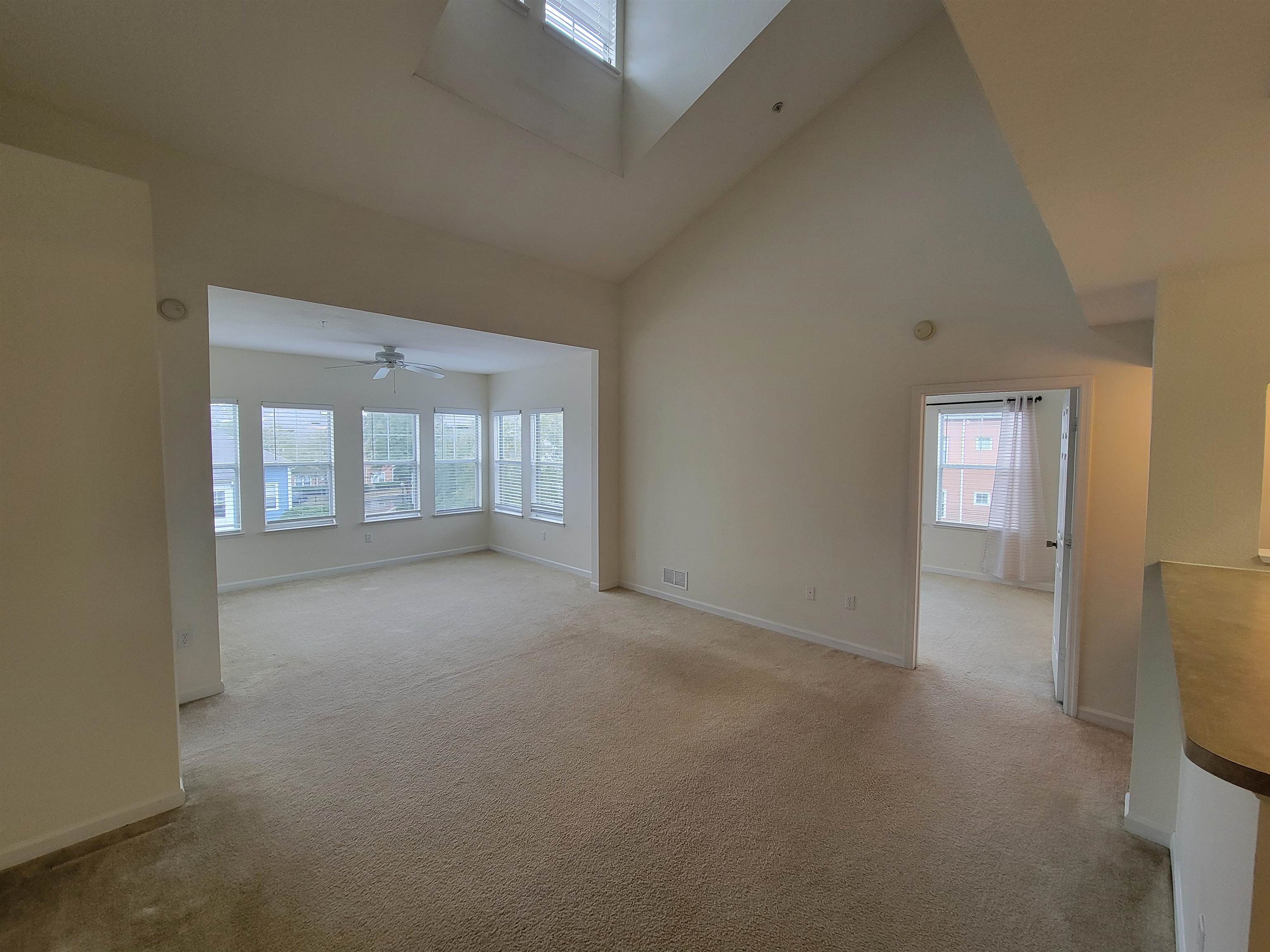 2801 Chancellorsville Drive #231, Tallahassee, Florida image 2