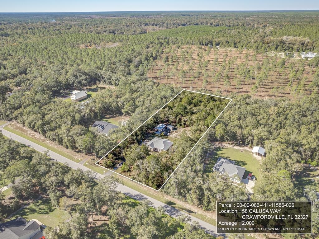 58 Calusa Way, Crawfordville, Florida image 37