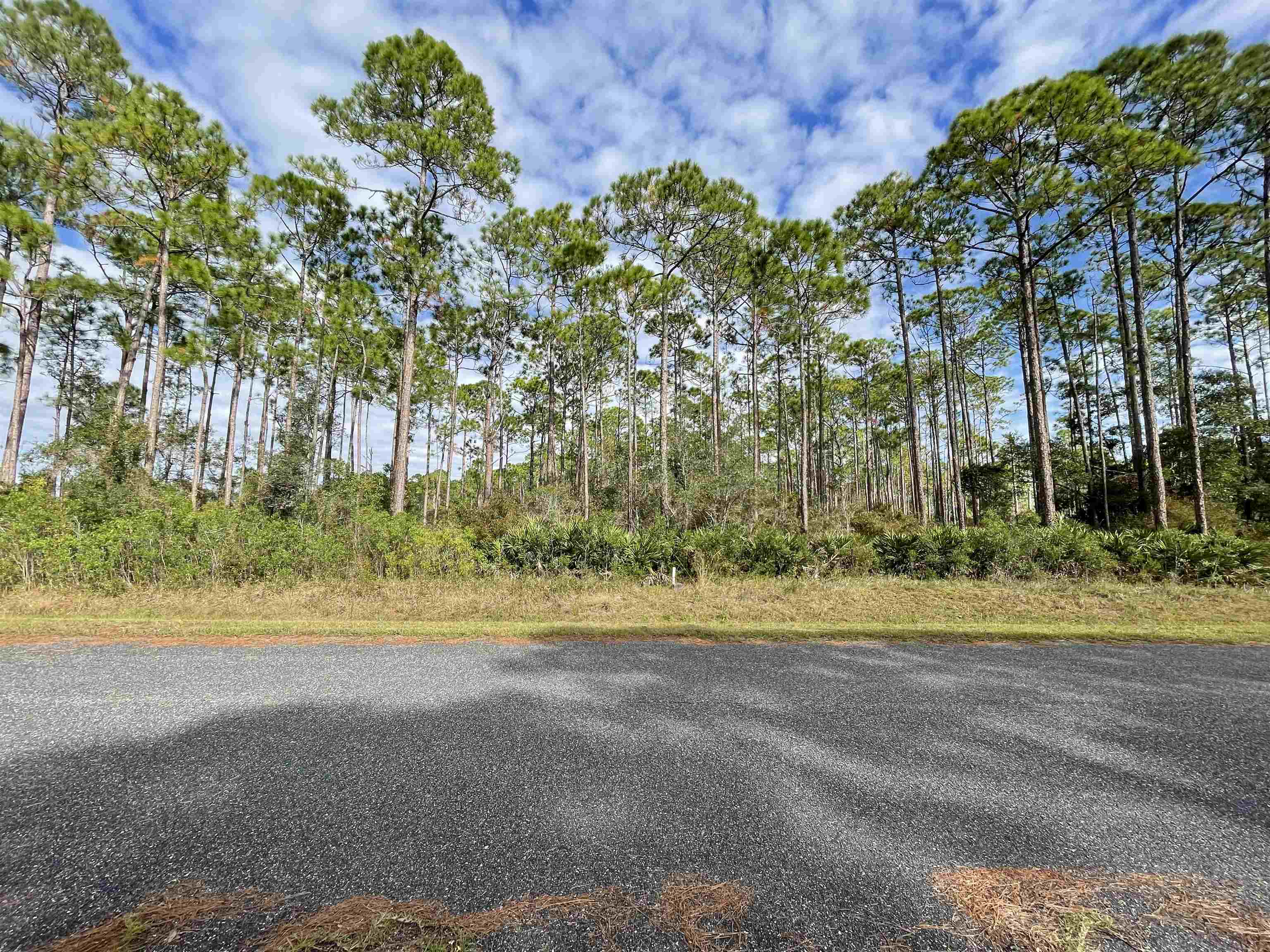 Whiteford Way #LOT 54, Panacea, Florida image 1