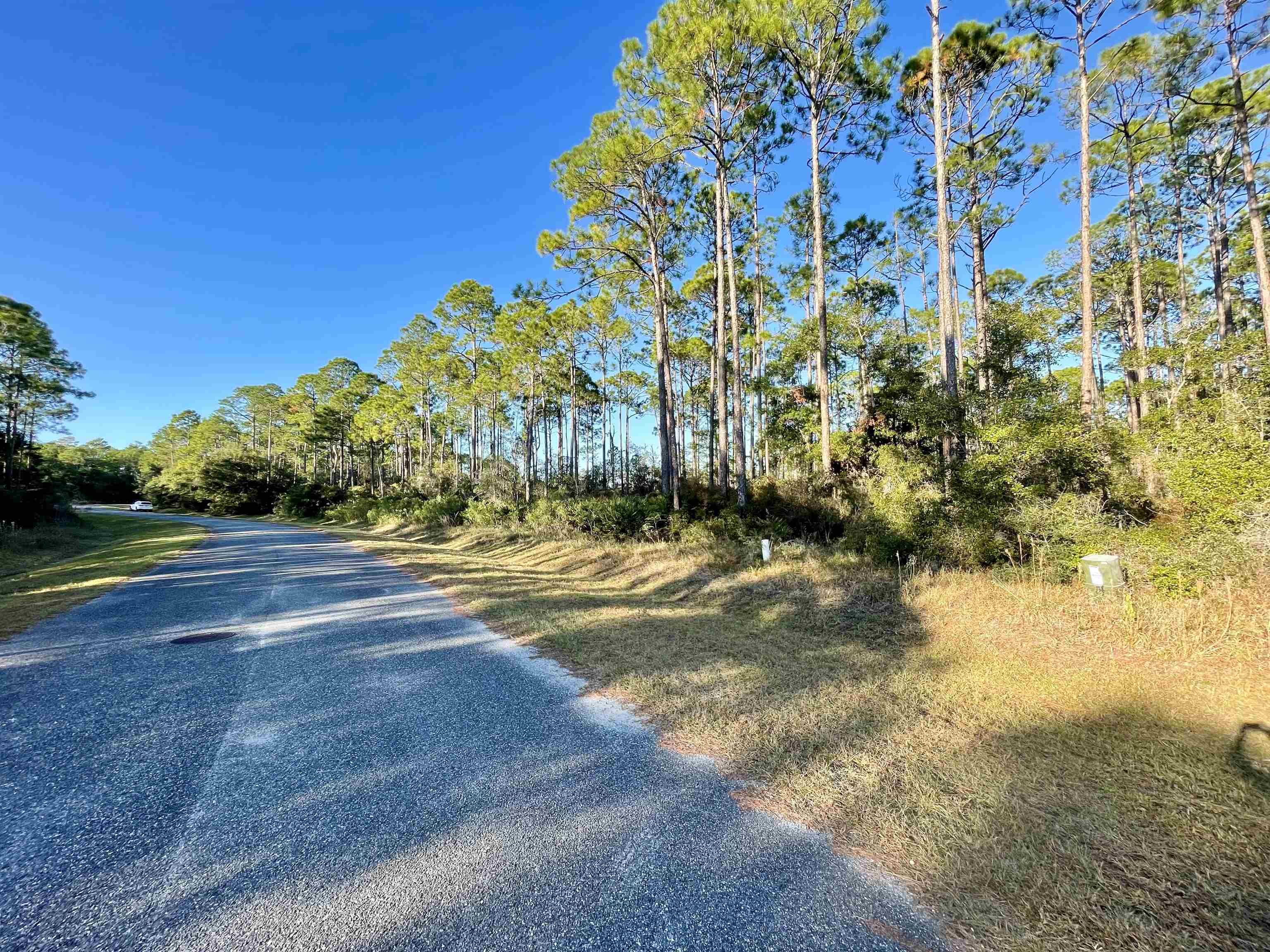 Whiteford Way #LOT 54, Panacea, Florida image 6