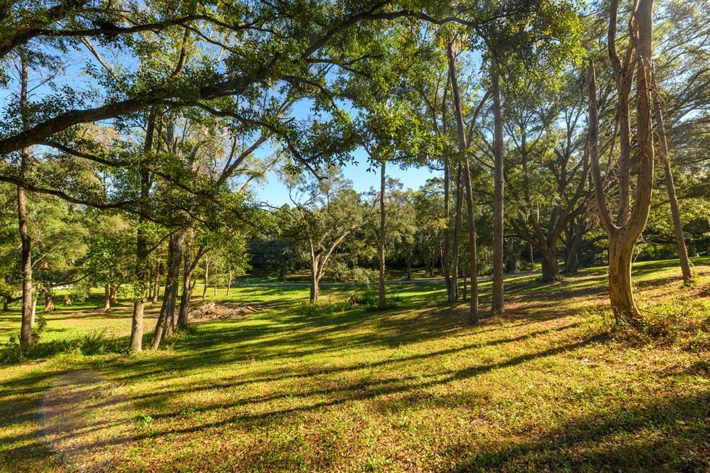 9389-21 Settler Avenue, Tallahassee, Florida image 2