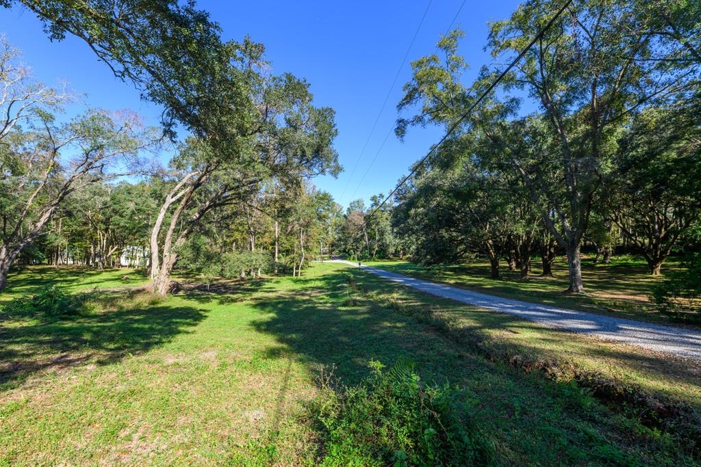 9389-21 Settler Avenue, Tallahassee, Florida image 3