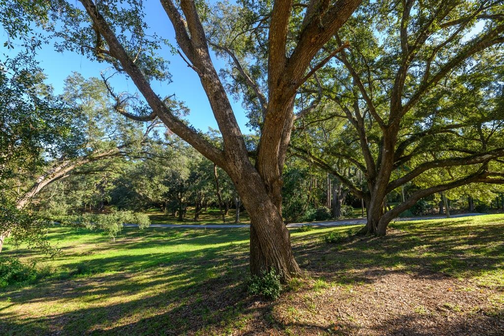 9389-21 Settler Avenue, Tallahassee, Florida image 4