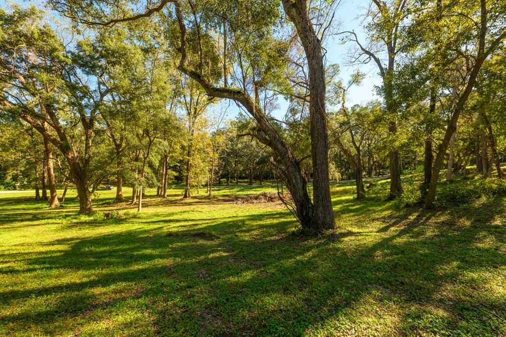 9389-21 Settler Avenue, Tallahassee, Florida image 5