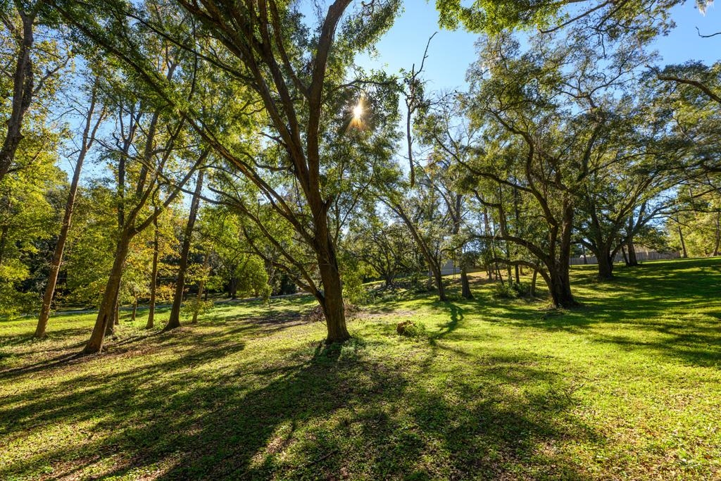 9389-22 Settler Avenue, Tallahassee, Florida image 1