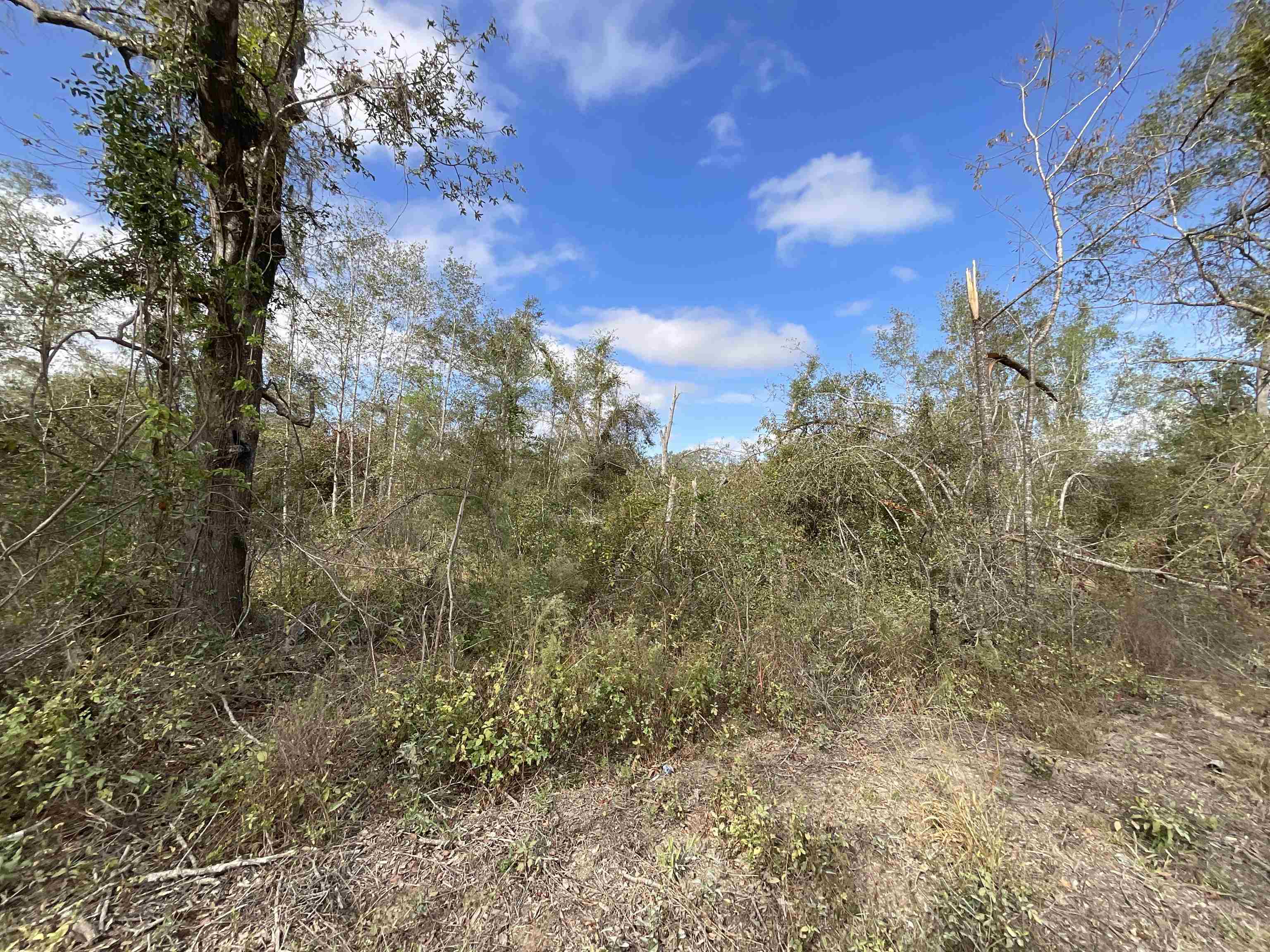 Vacant SE Trading Post Loop, Lee, Florida image 11