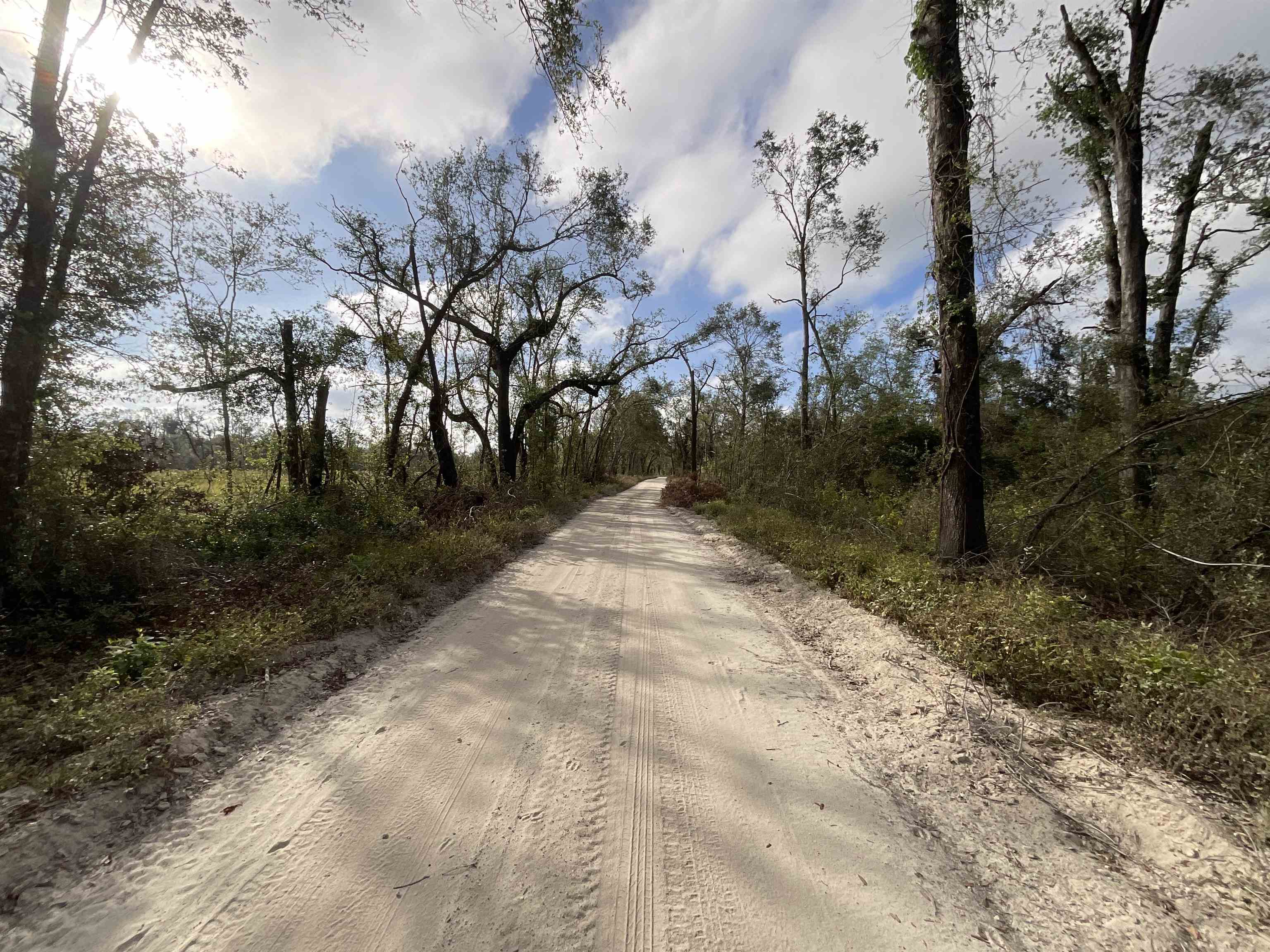 Vacant SE Trading Post Loop, Lee, Florida image 12