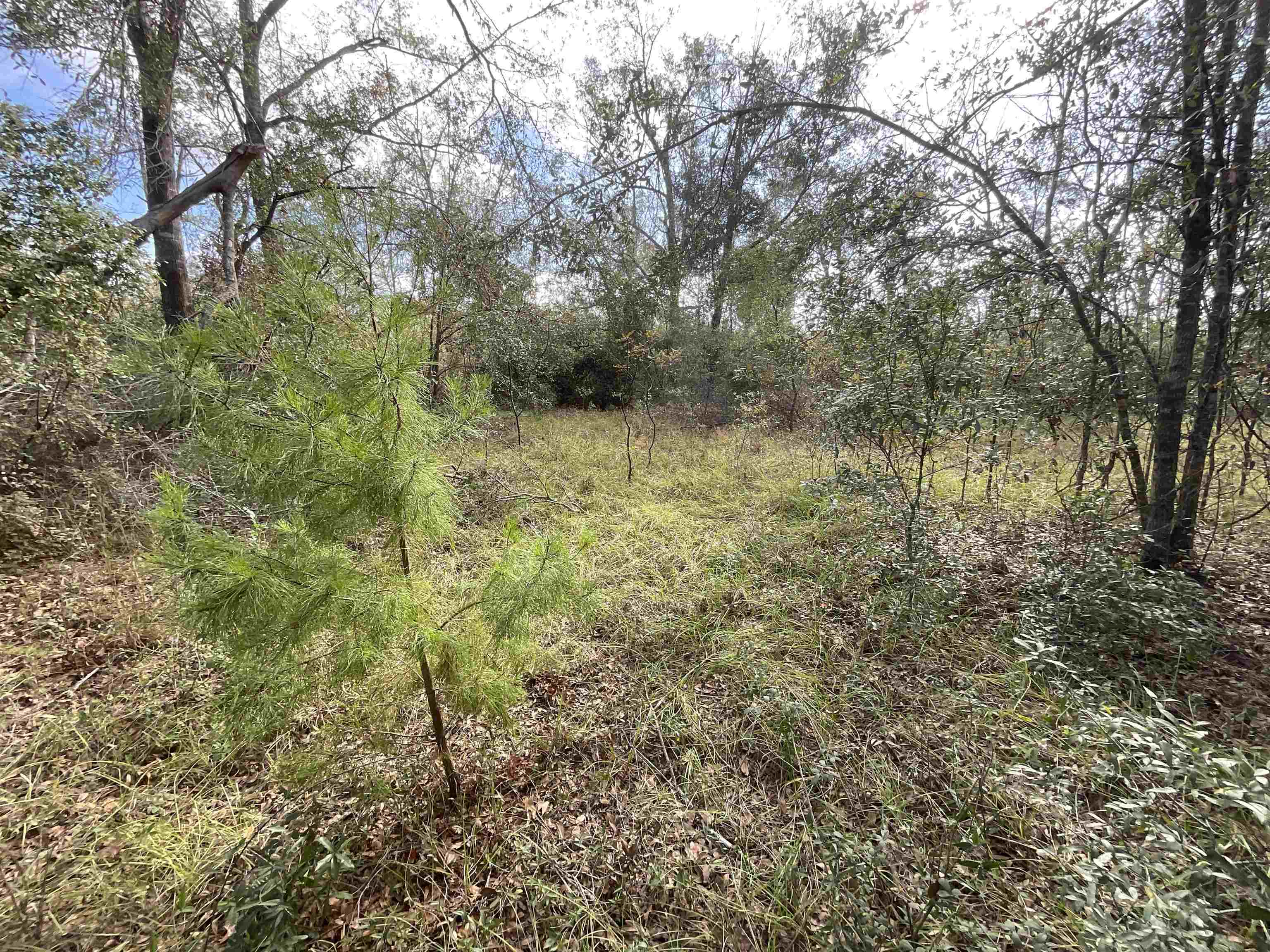 Vacant SE Trading Post Loop, Lee, Florida image 13