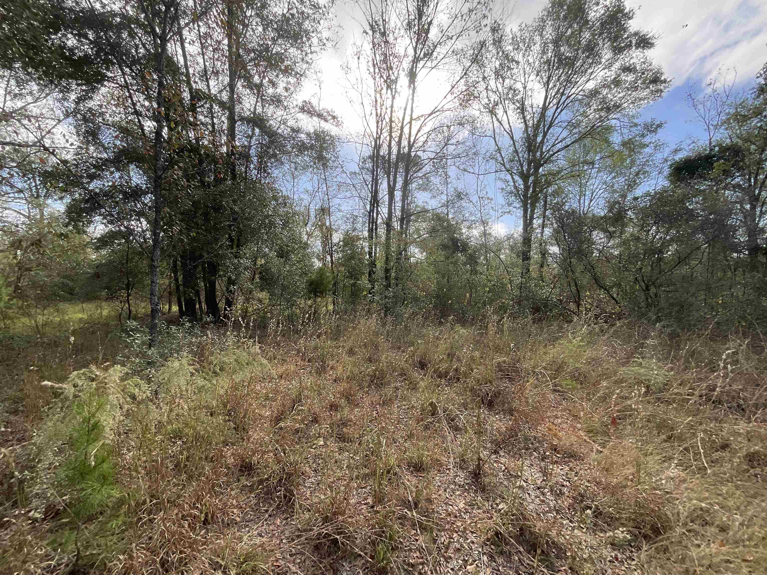 Vacant SE Trading Post Loop, Lee, Florida image 14