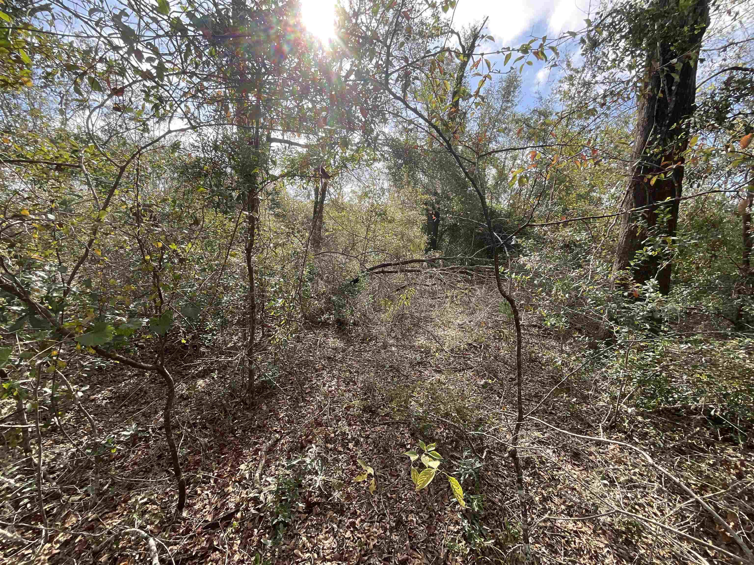 Vacant SE Trading Post Loop, Lee, Florida image 17