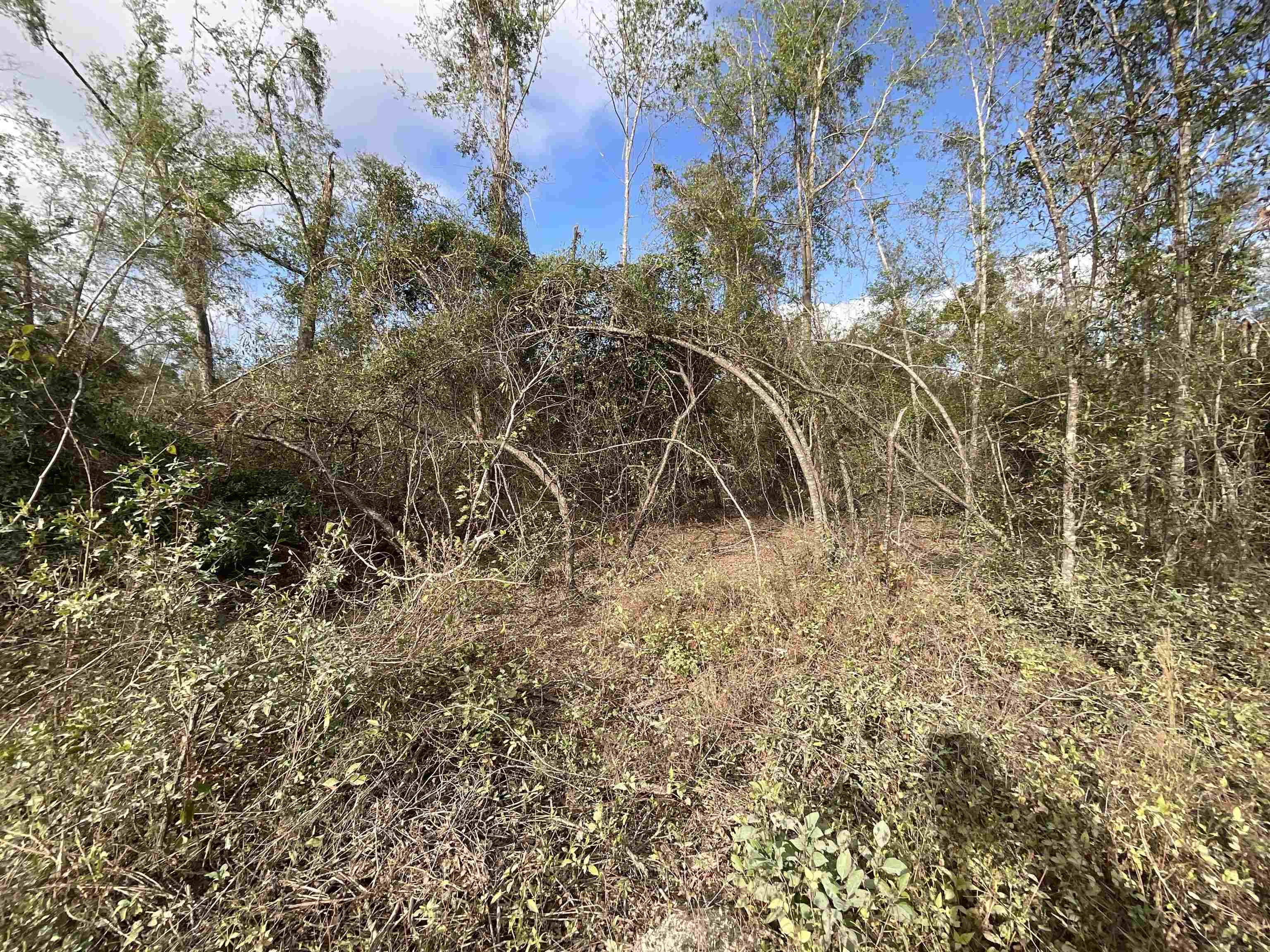 Vacant SE Trading Post Loop, Lee, Florida image 18